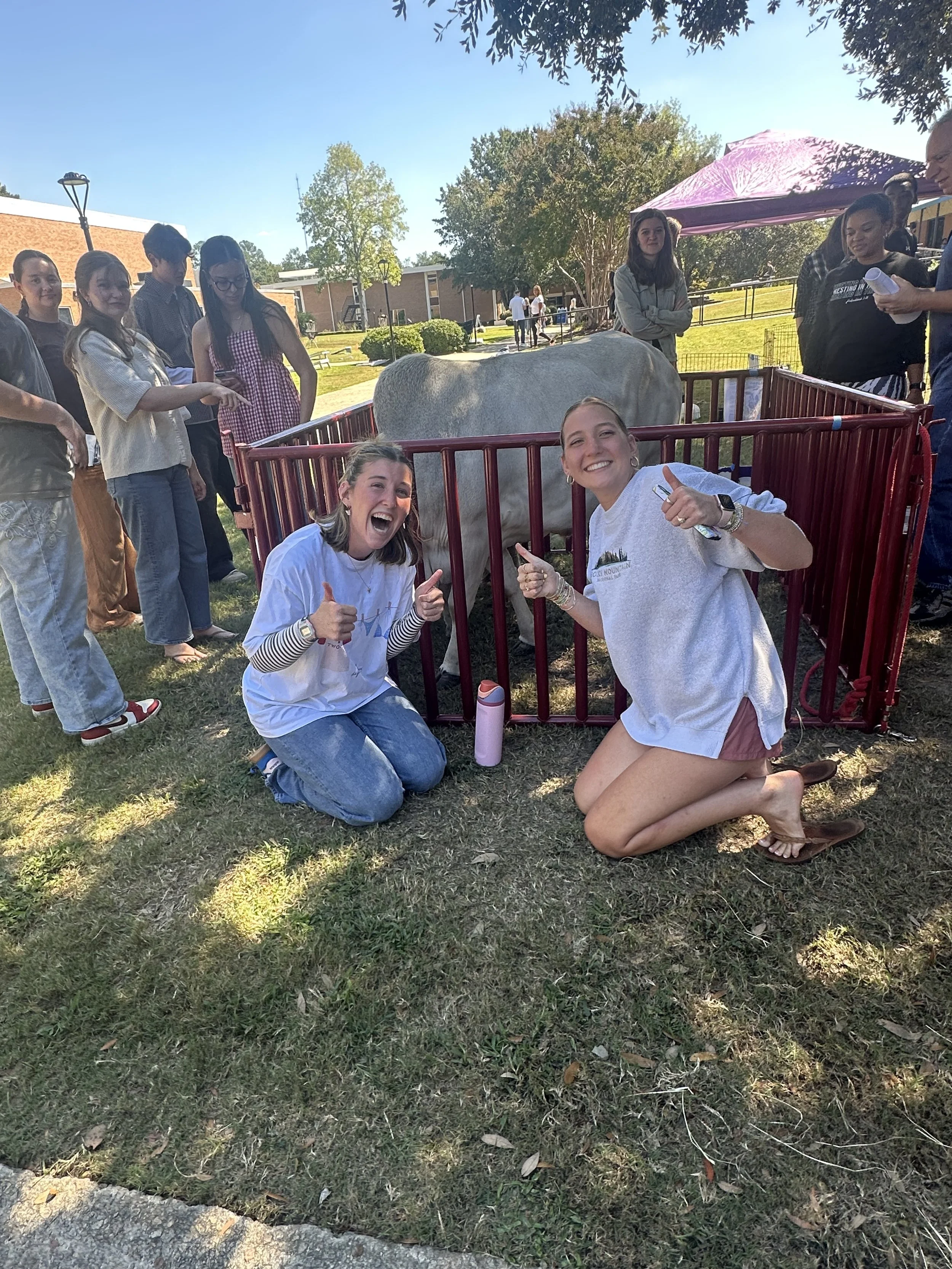 Group of young people gathered around a caged white horse at an outdoor event, with two women kneeling and smiling in the foreground.