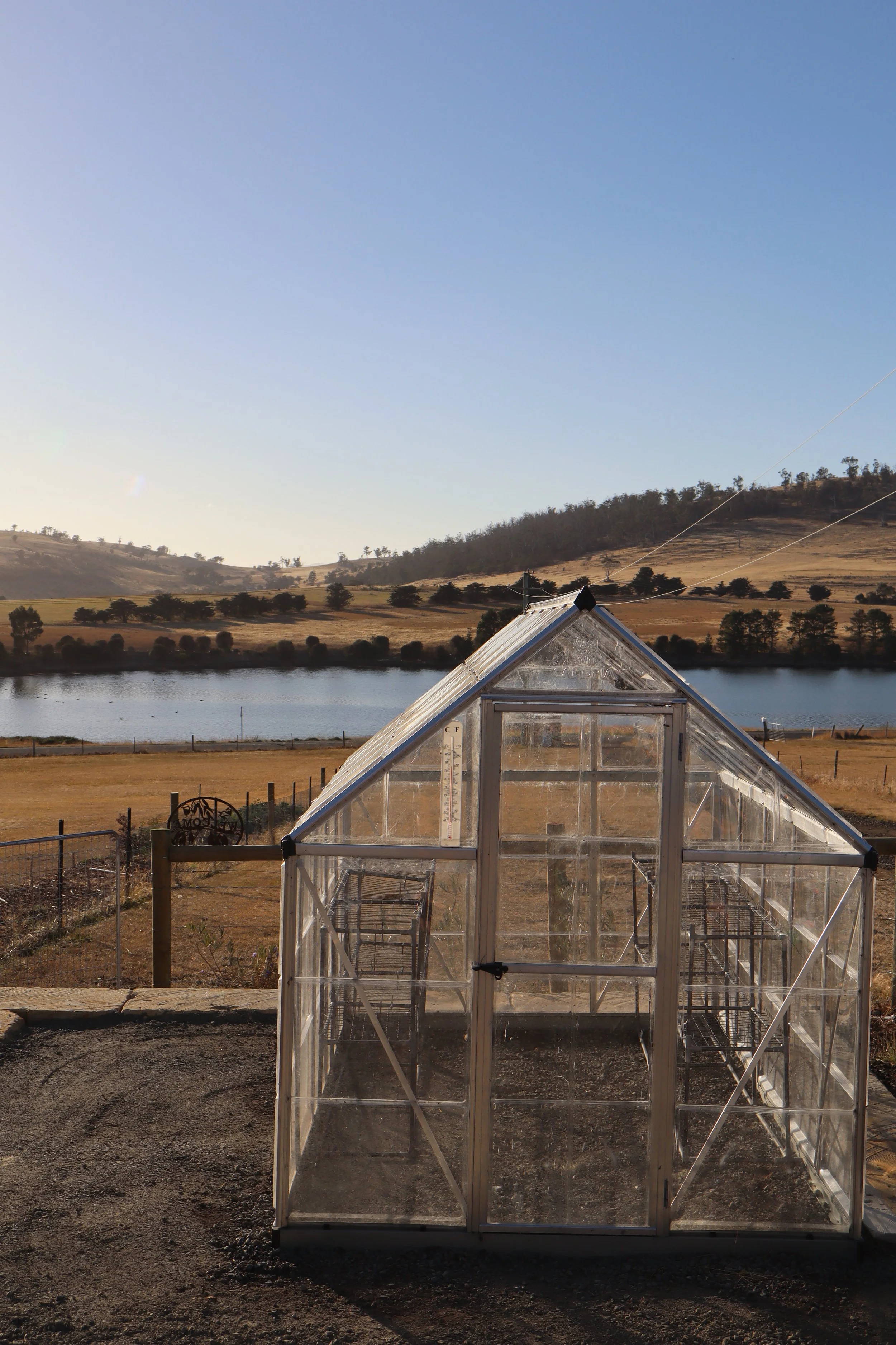 🌱 Seed Sowing Workshop