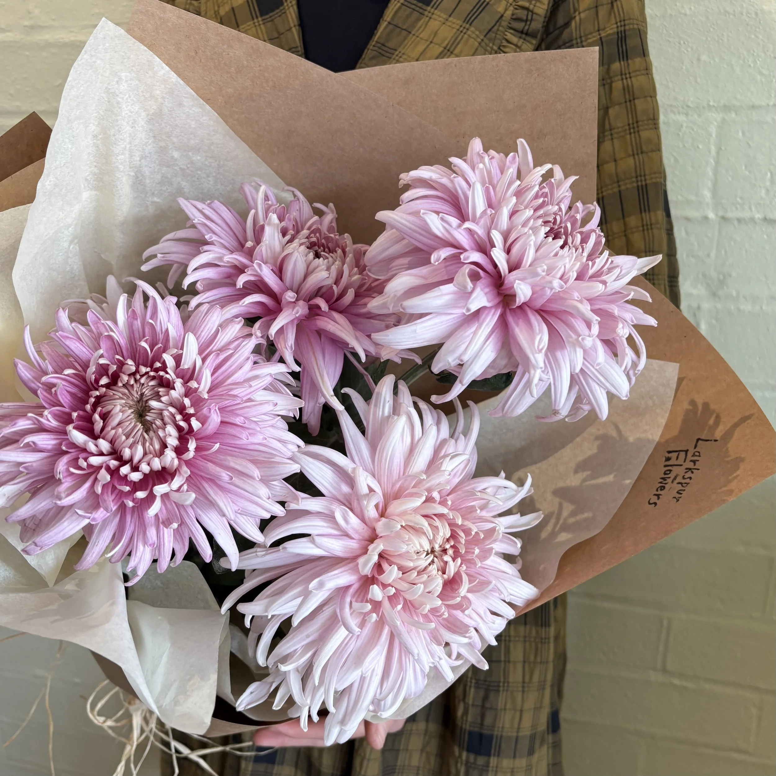Chrysanthemums Mothers Day flowers