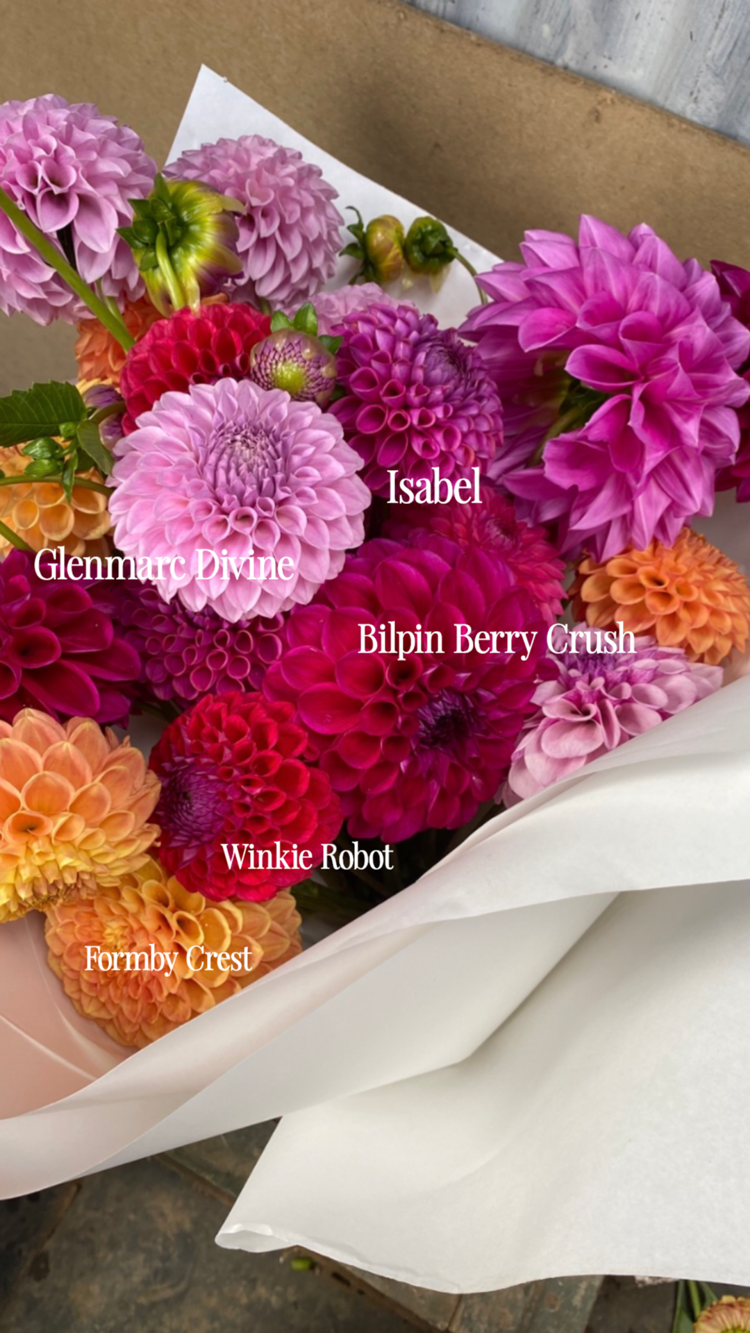 instories_7AA135D7-662F-4631-8572-DB2EF32FF92B.PNG