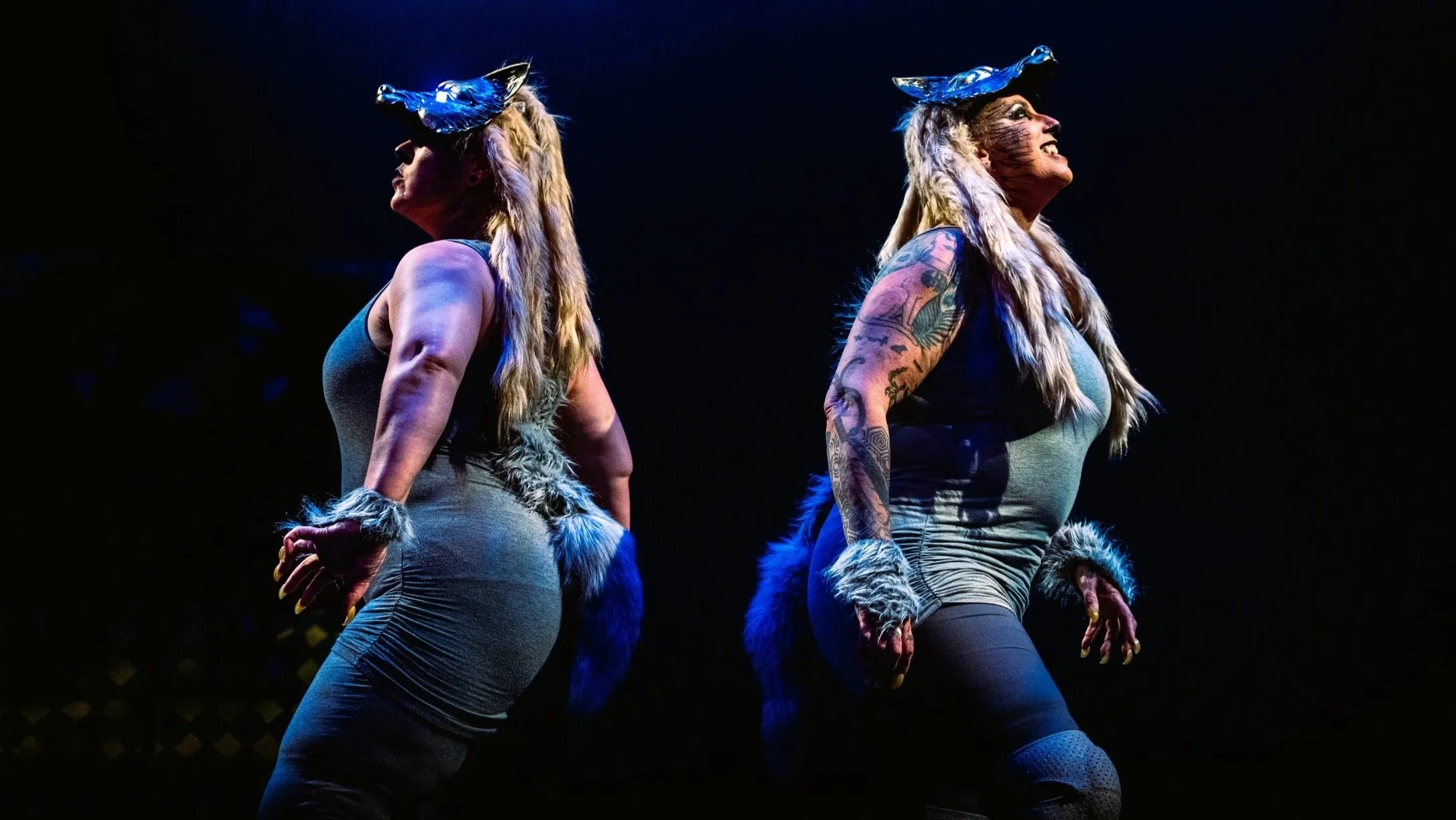 Wolves of Dracula: Alternative Dance Theatre