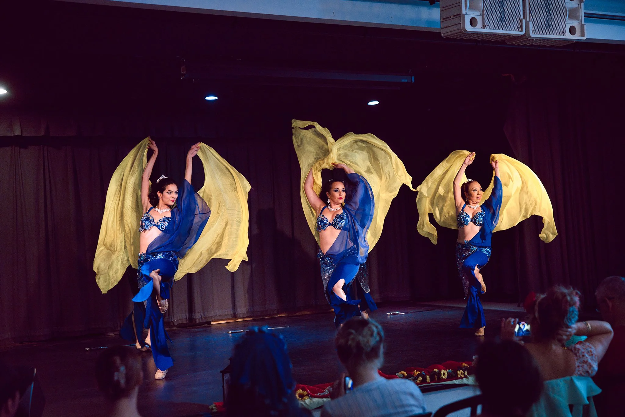 Nalini's Jewels of Fire