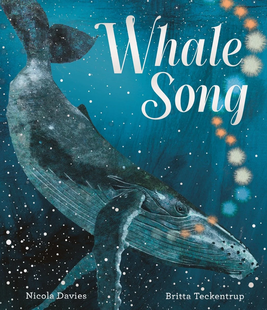Whale Song__9781529513189 (1).jpeg