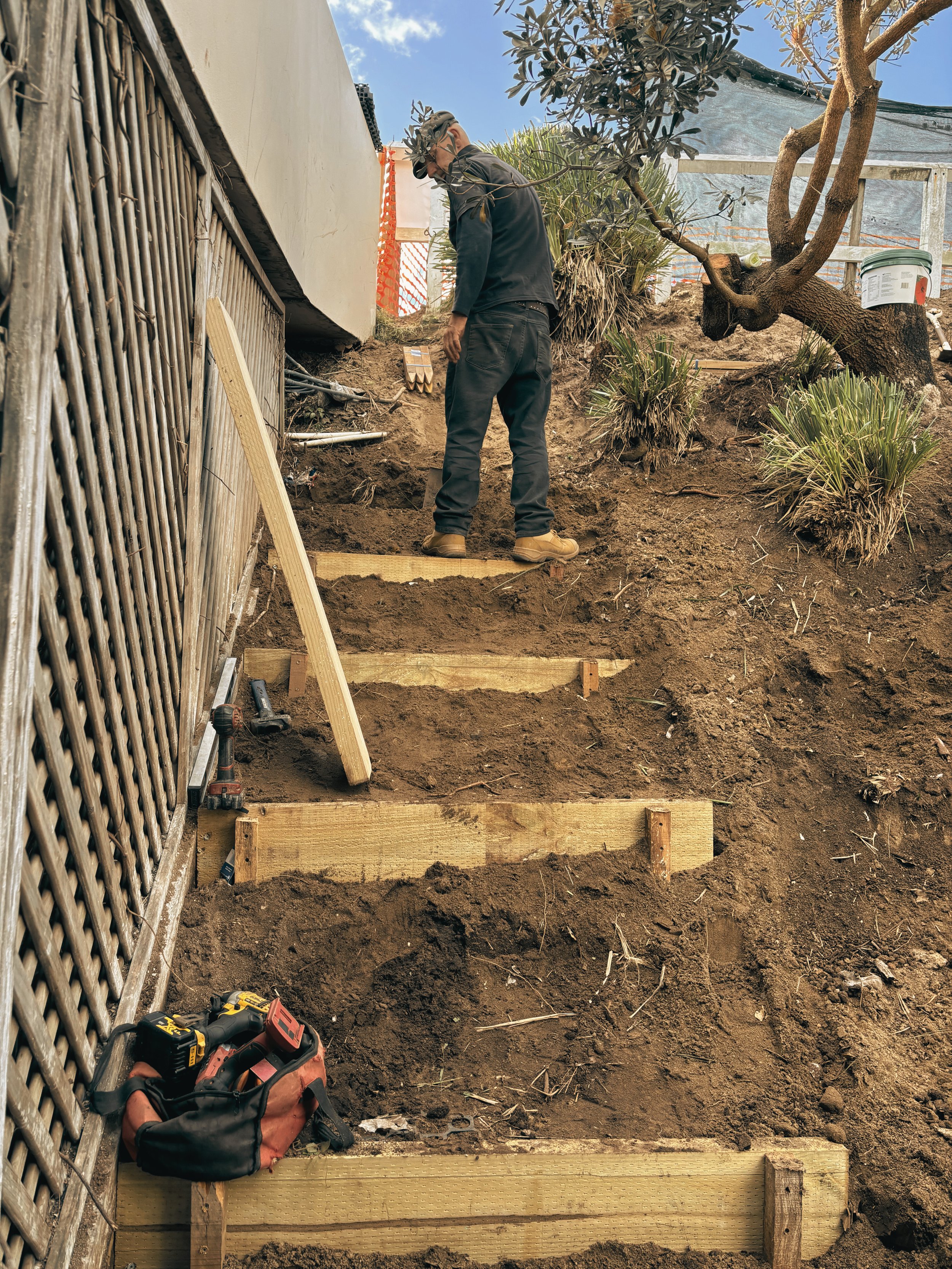 COASTAL REVEGETATION