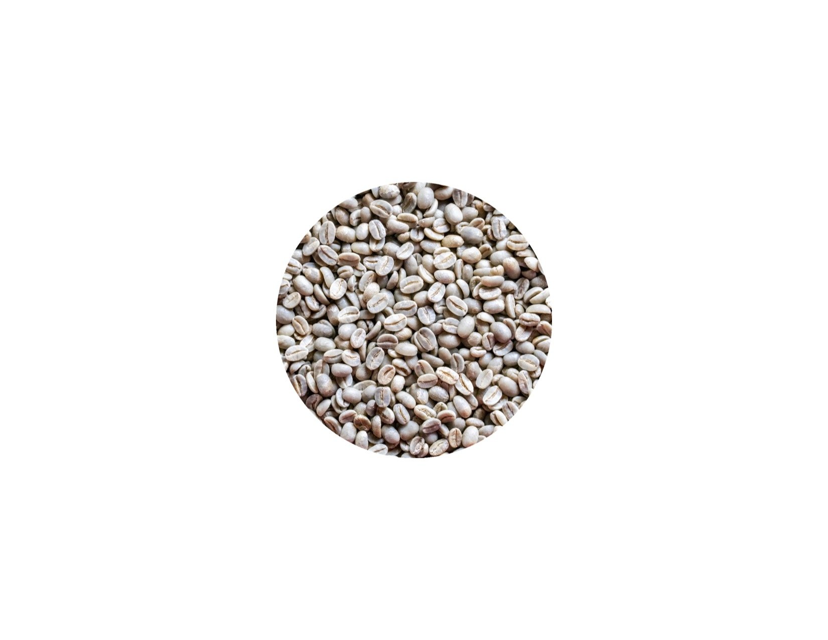 Product Image - Green 2.jpg