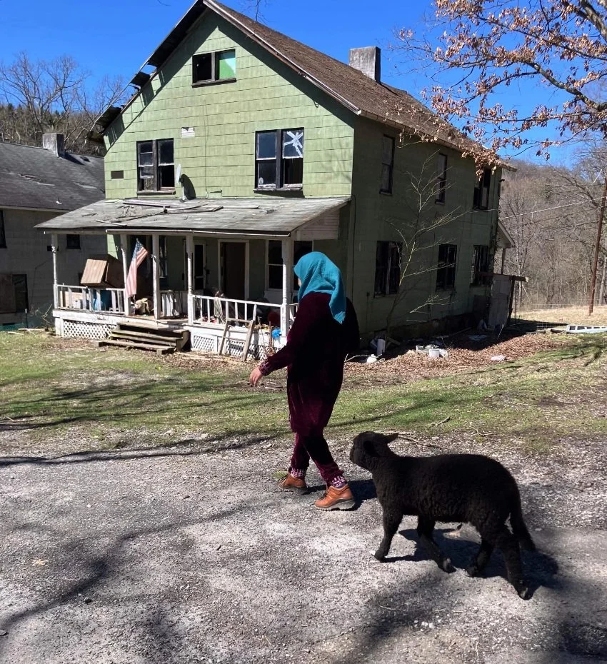 Book A Visit — Yellow Dog Village