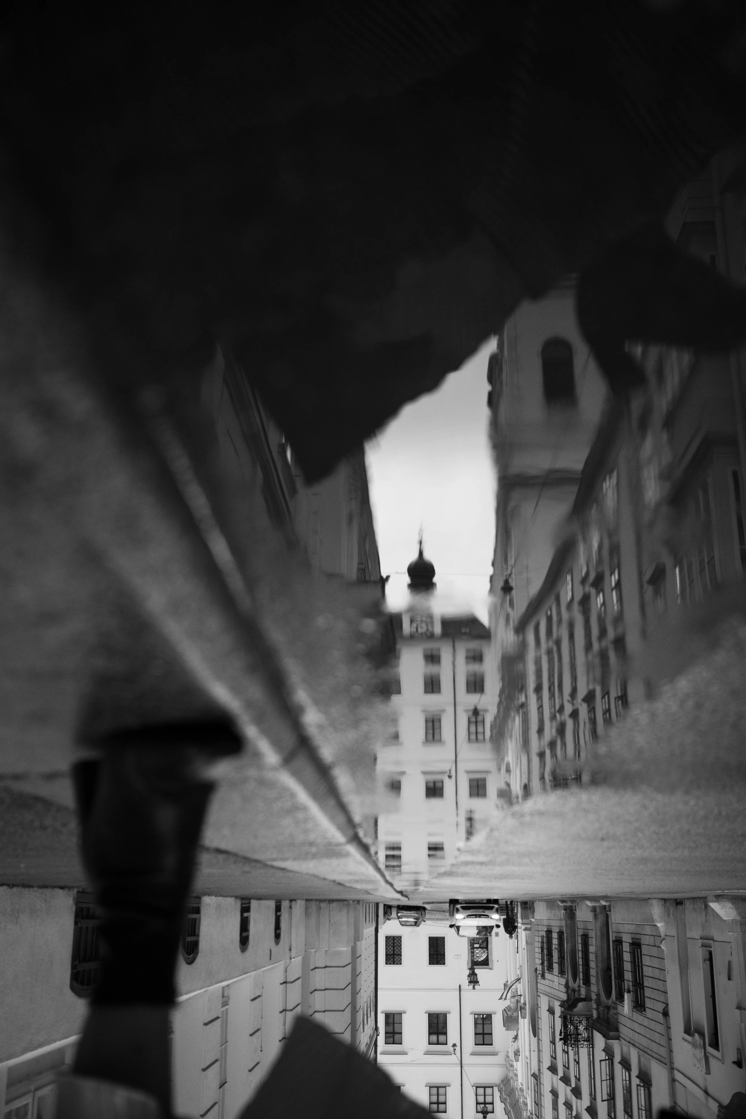 DSC_3558.jpg
