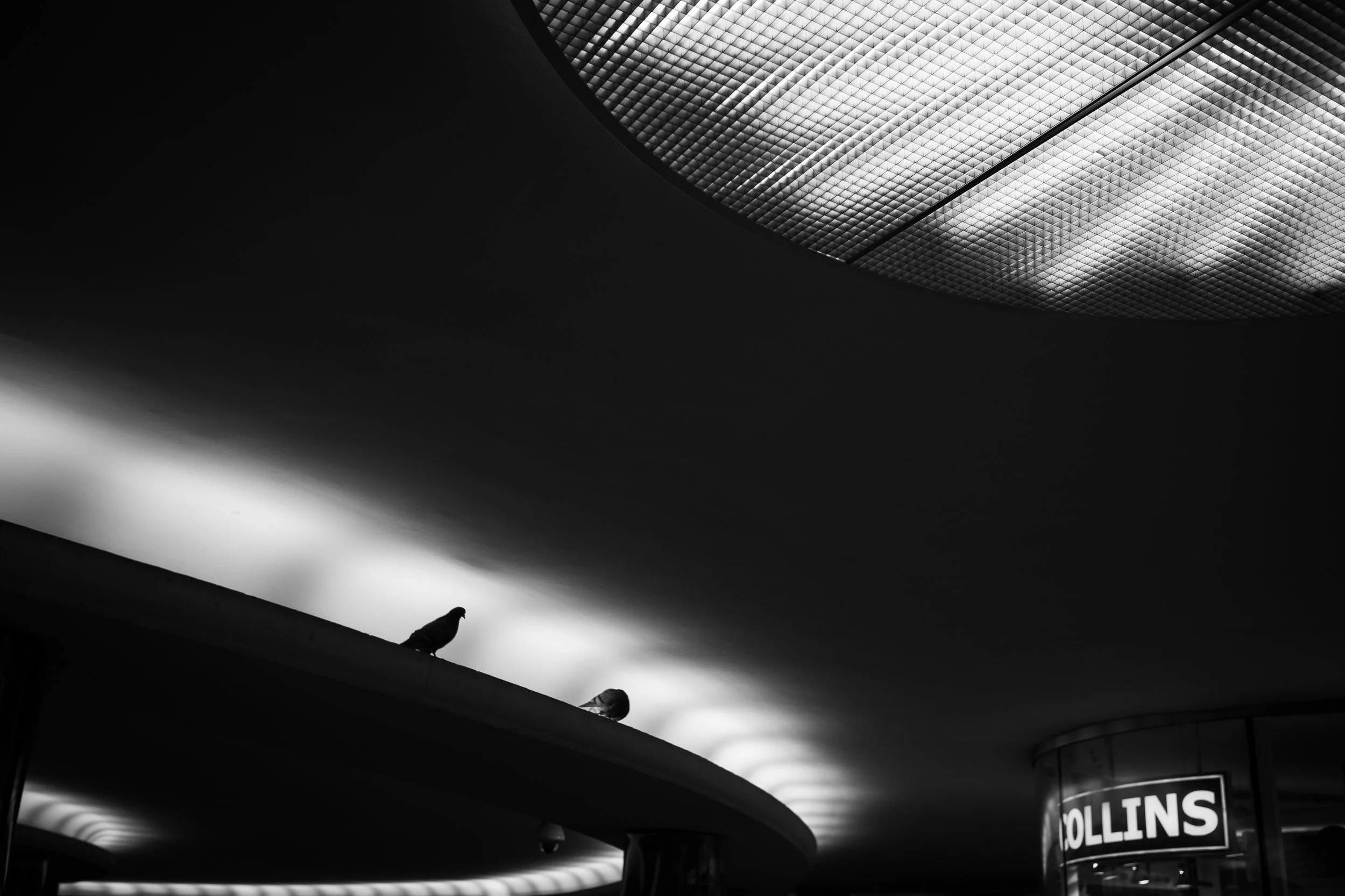 DSC_3661.jpg
