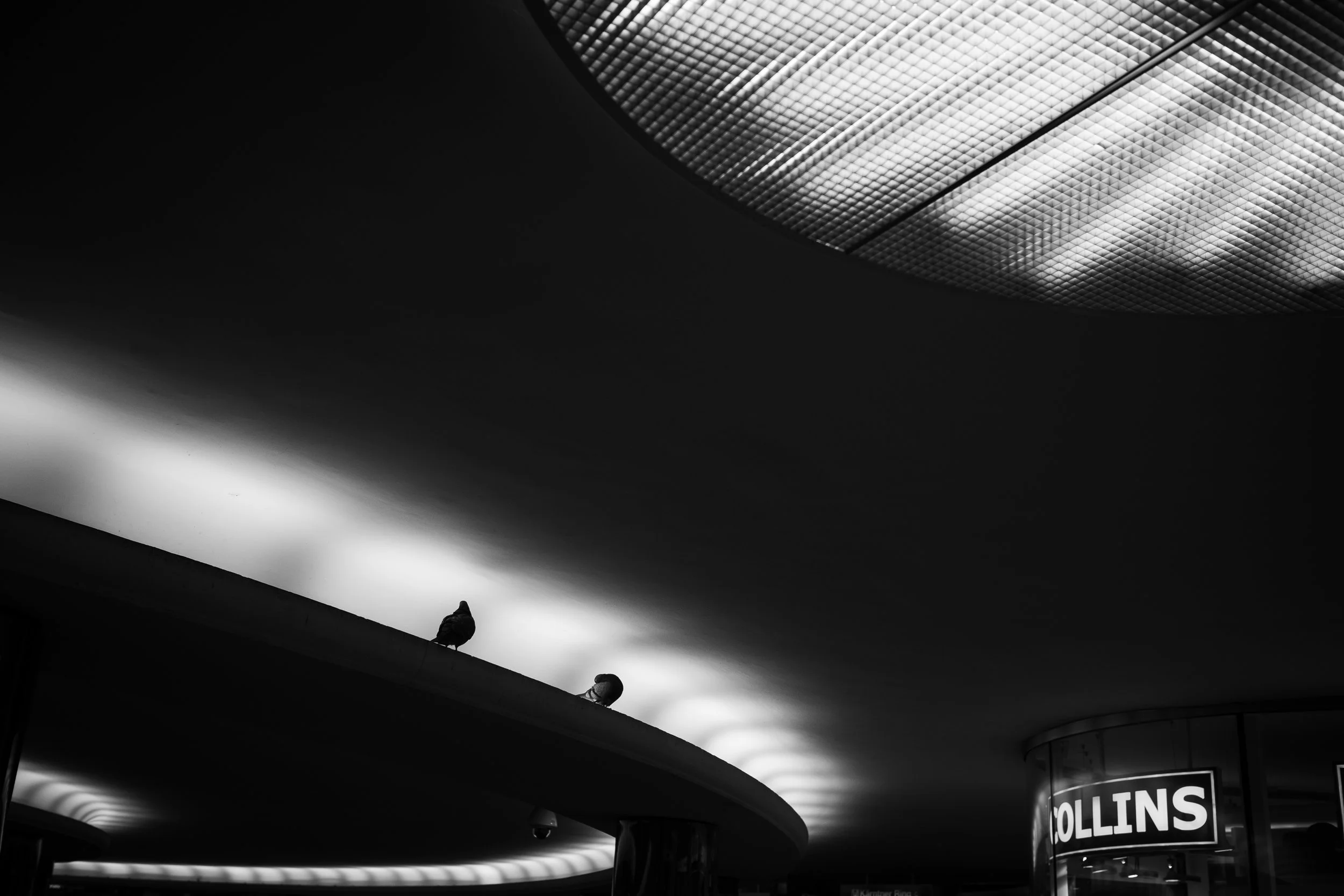 DSC_3663.jpg