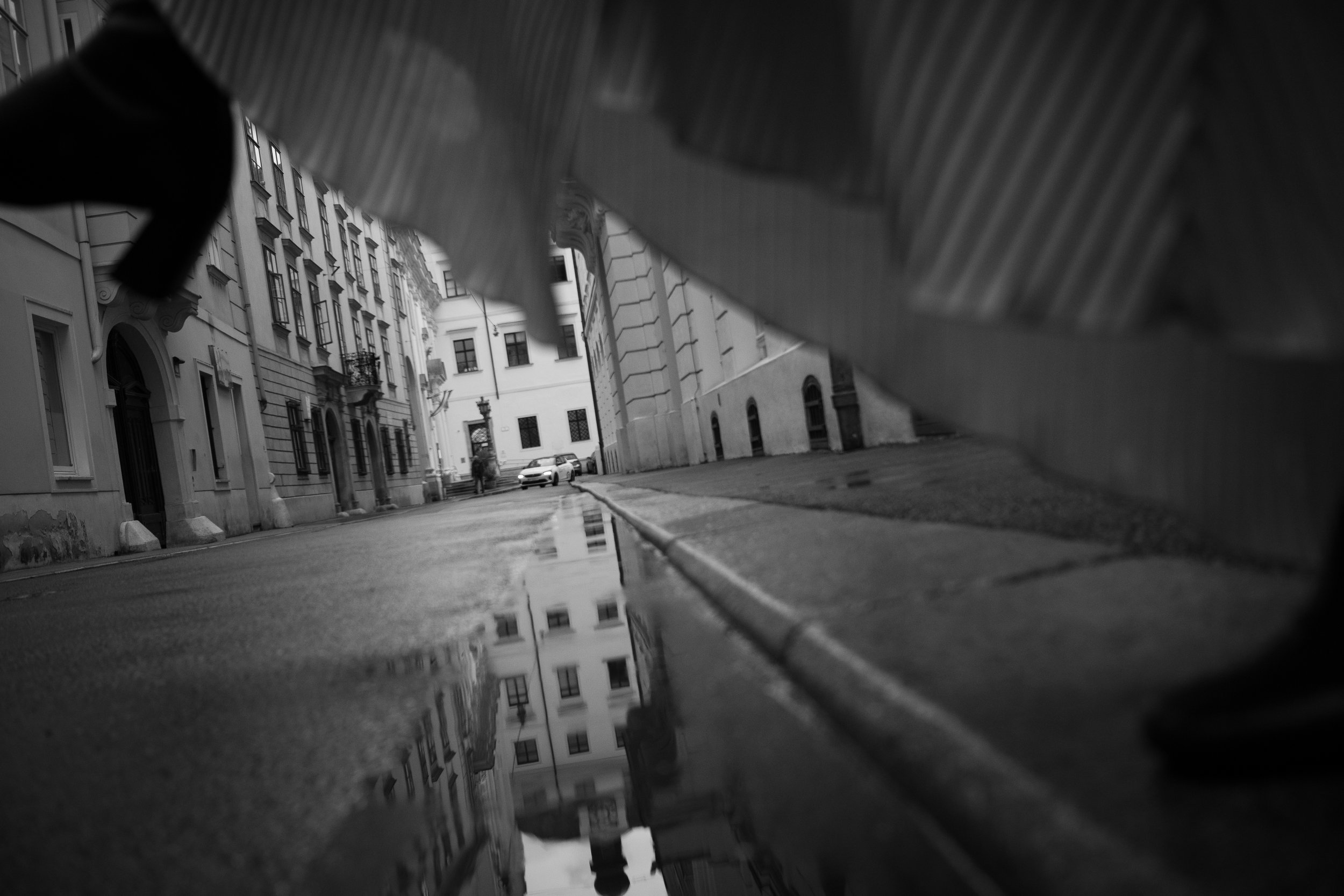 DSC_3557.jpg