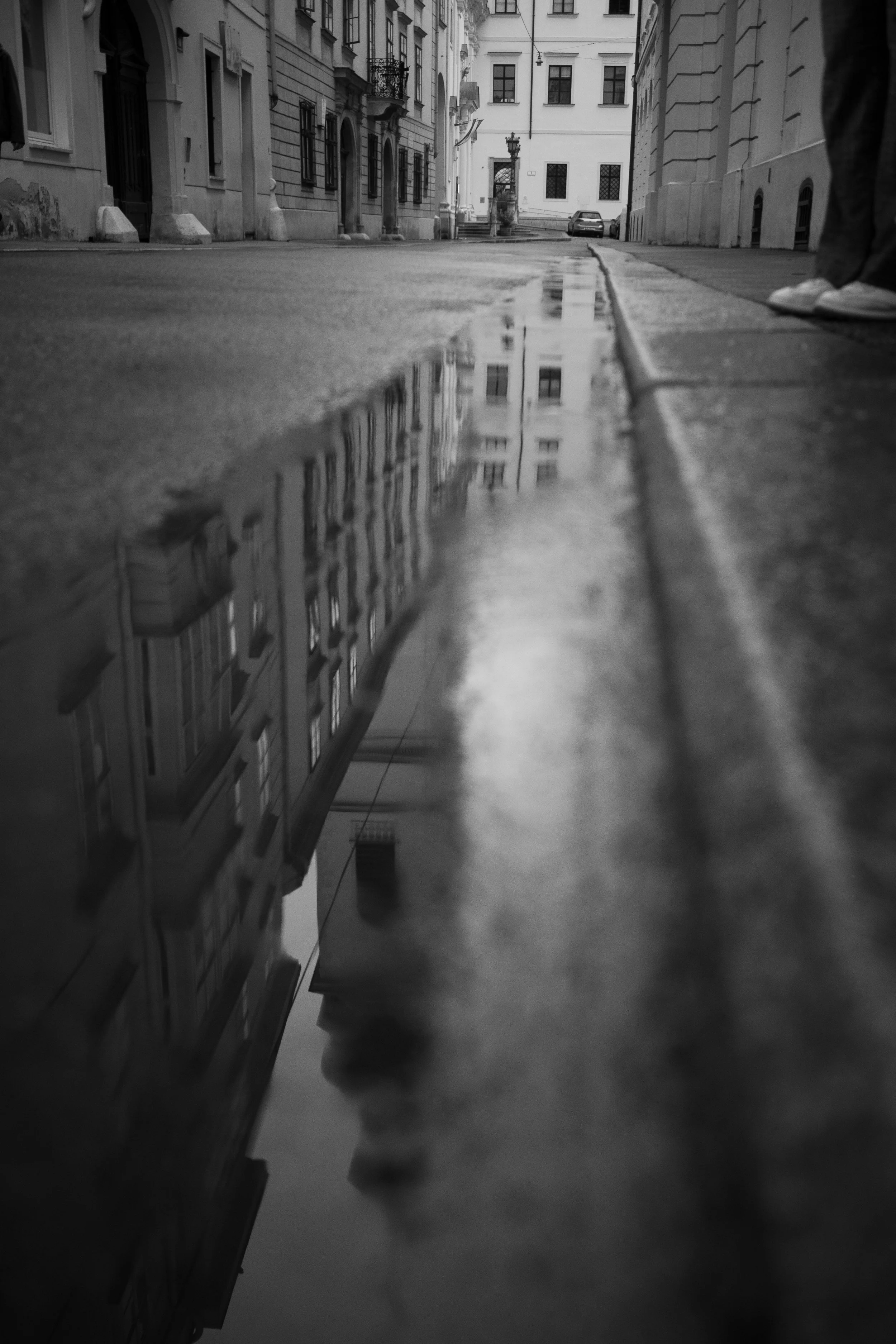 DSC_3564.jpg