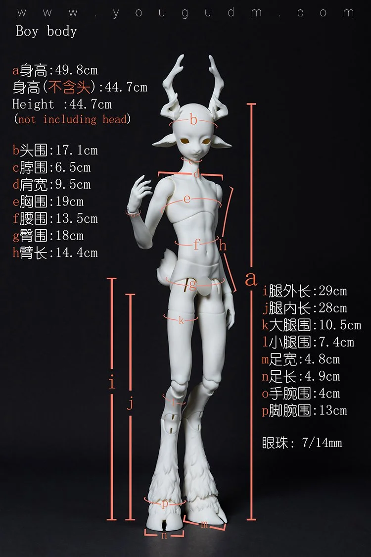 A Break in the Woods - Cedar
 2 February - 18 March 2024
 50cm body B4-26