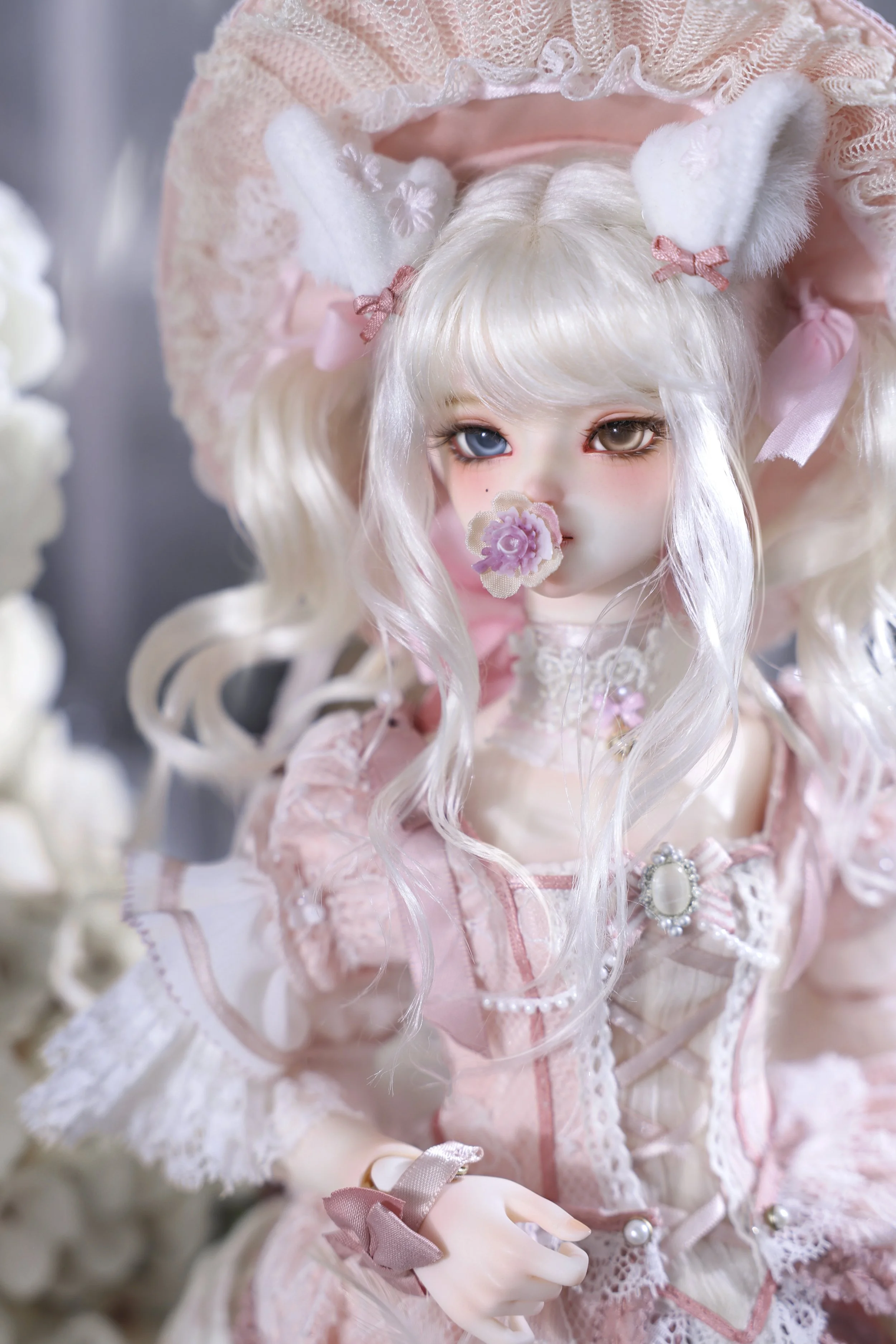 1J6A0314 拷贝.jpg