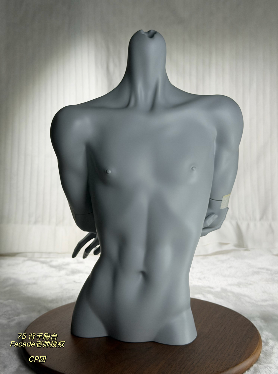 facade 75cm bust (2).png