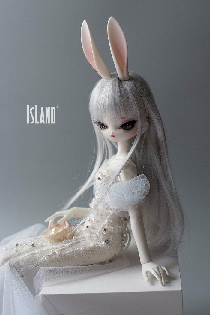 island_buny_09.jpg