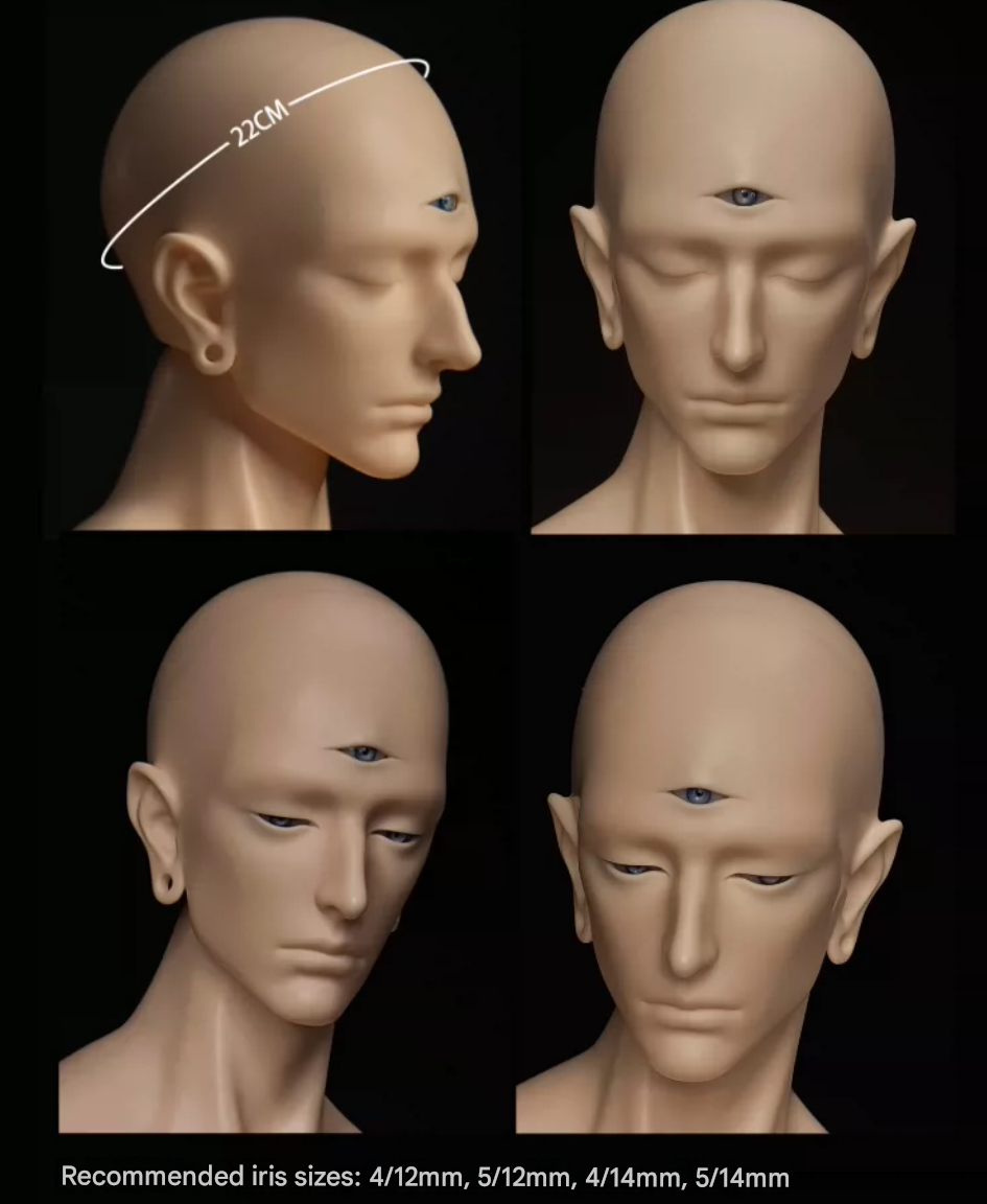 6 armed info (2).png
