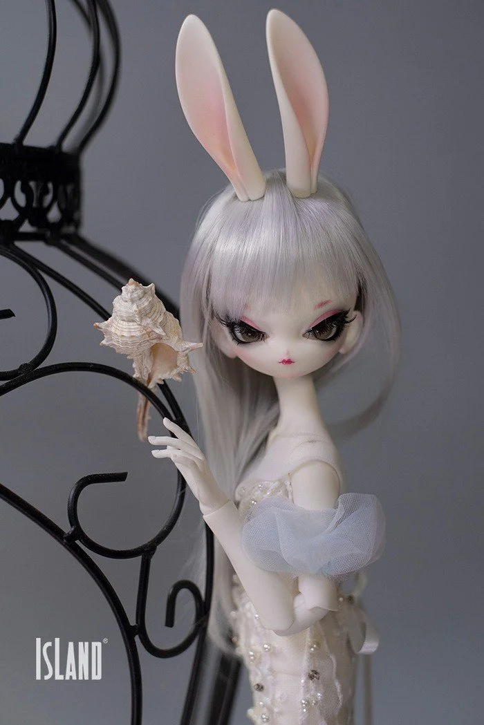 island_buny_15.jpg