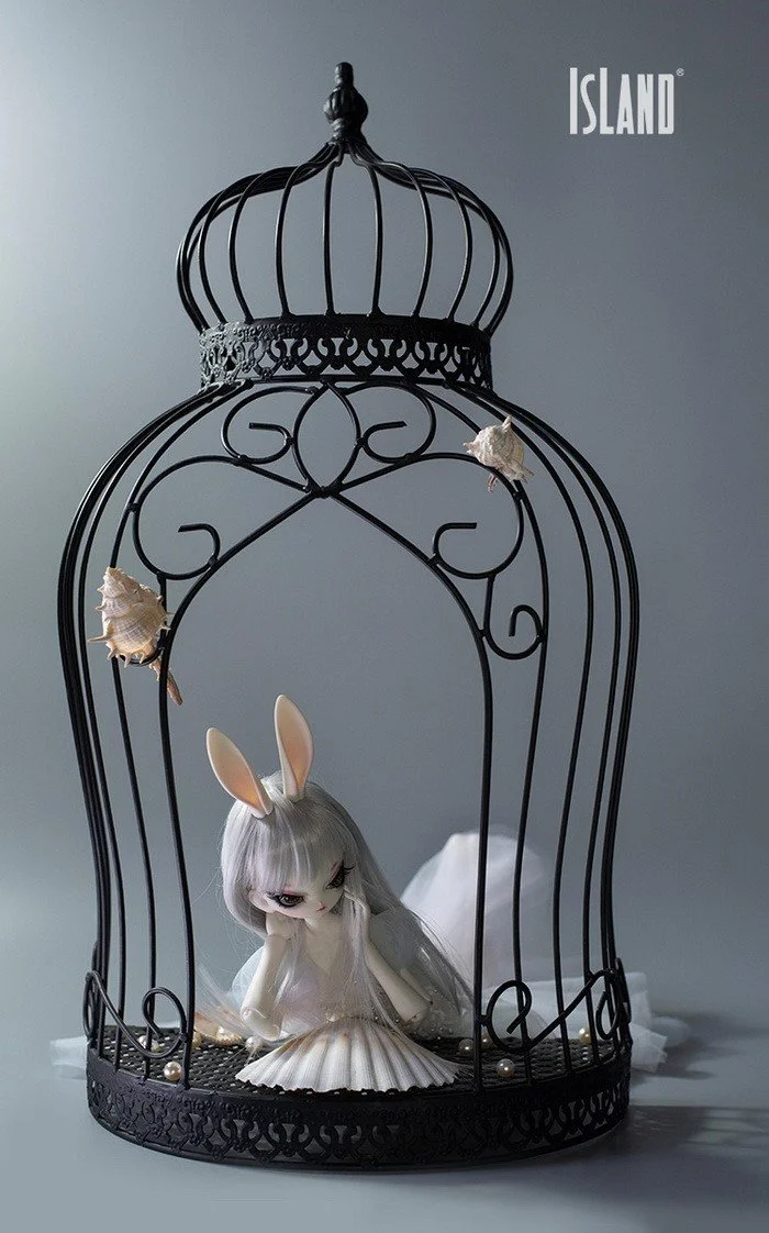 island_buny_21.jpg