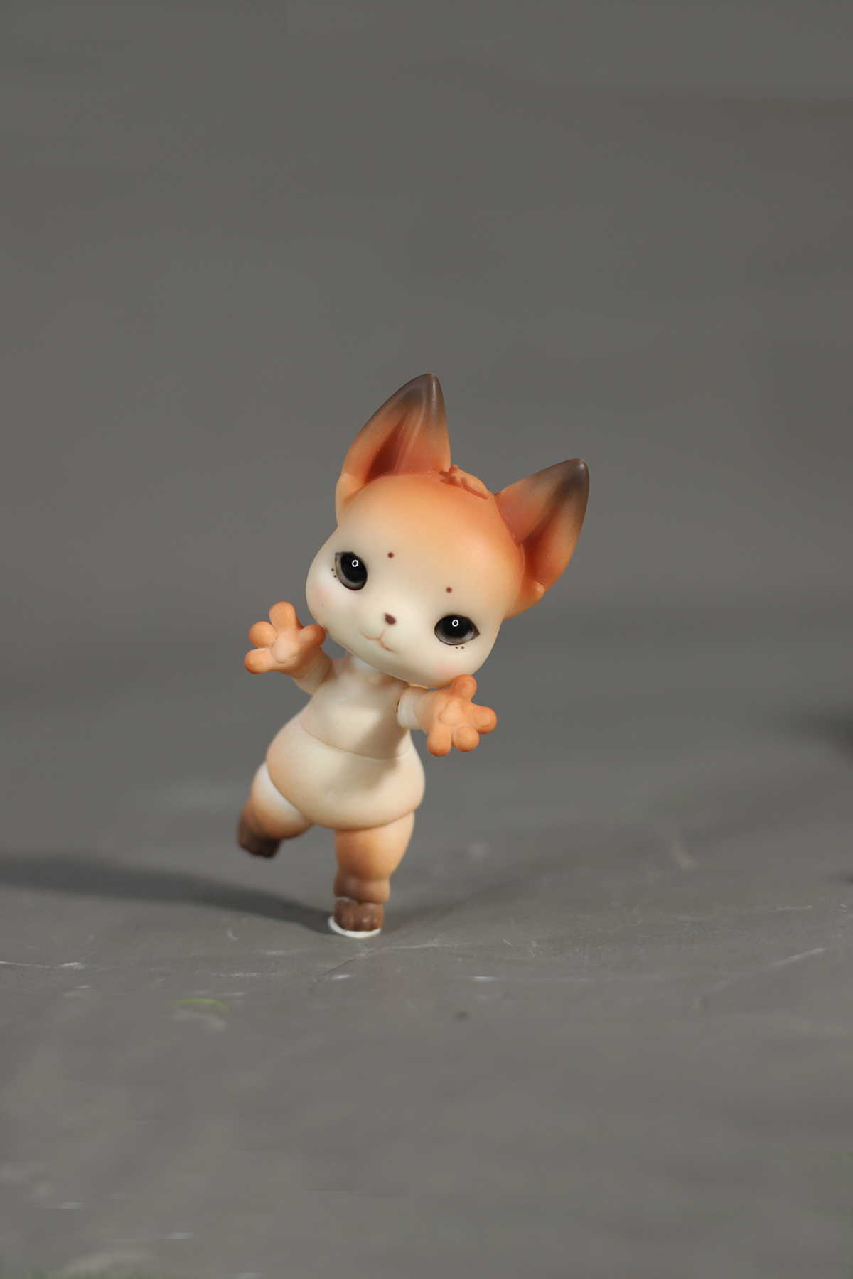 Little Fox
