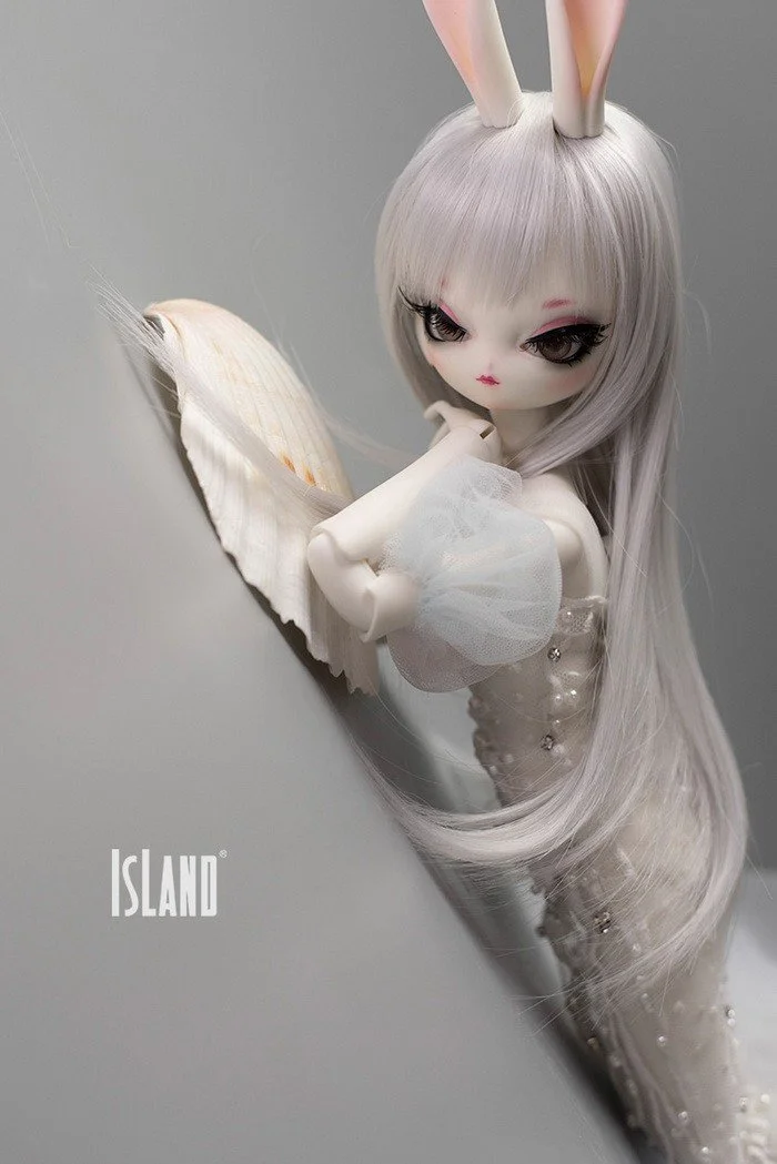 island_buny_05.jpg