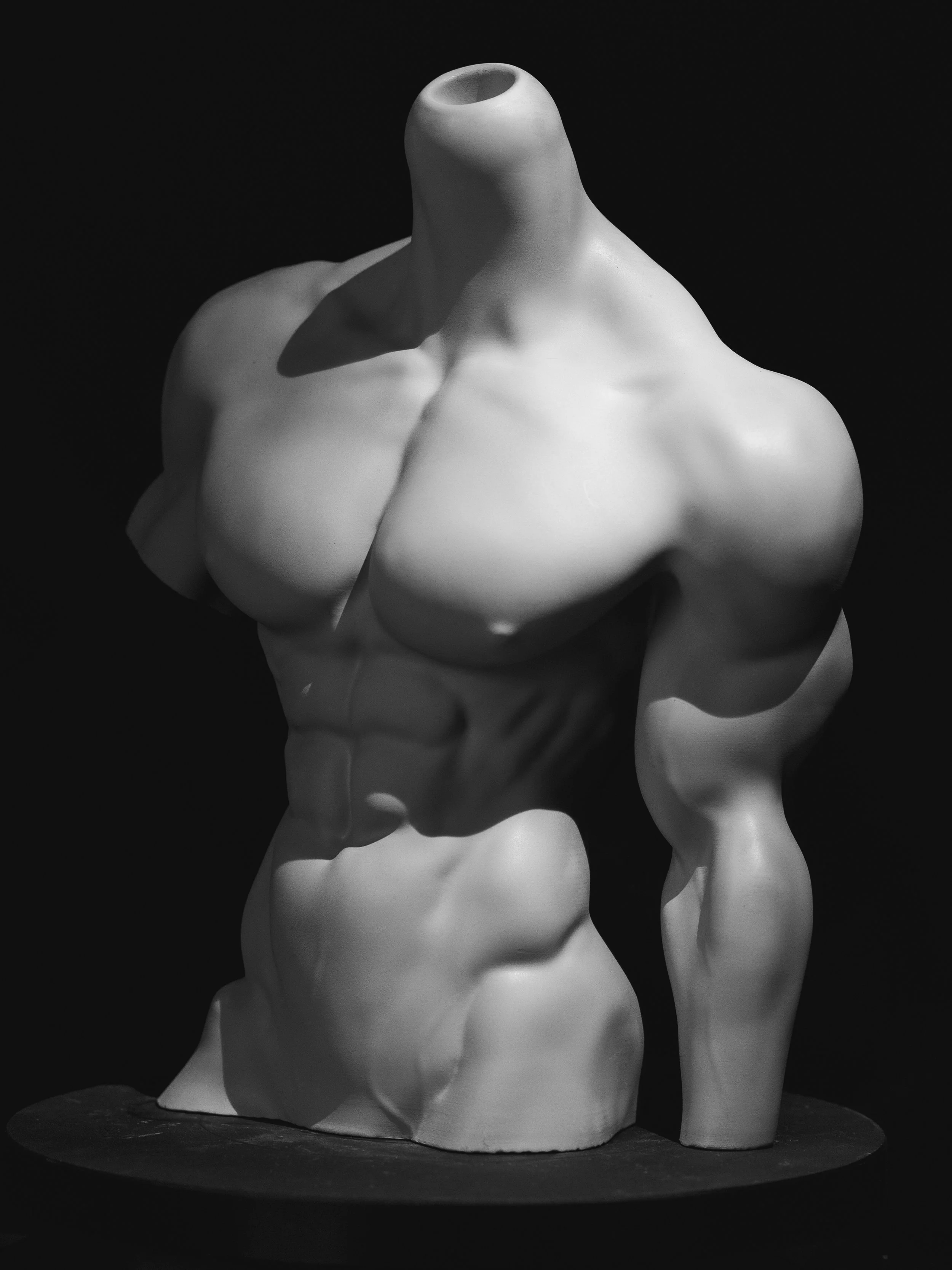 alpha 2.0 plus (3).jpg