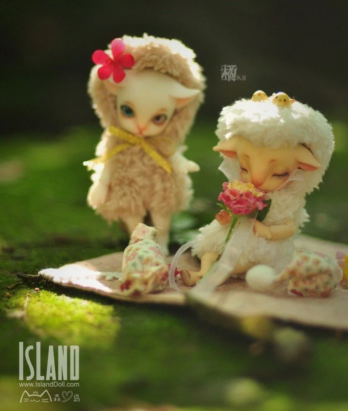 island_mianmian_13.jpg