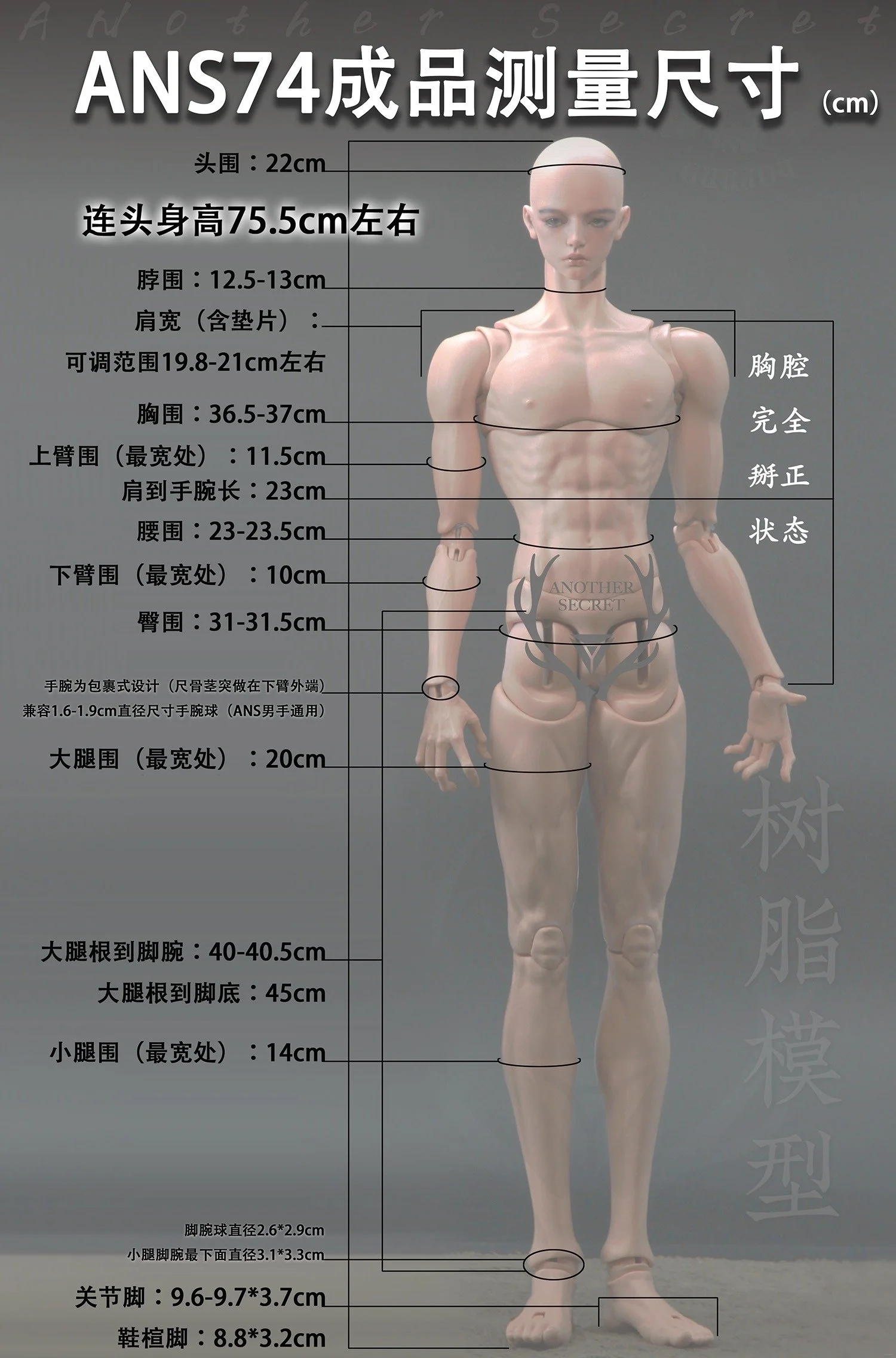 74cm male body