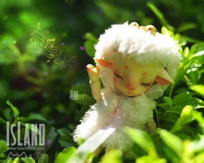 island_mianmian_03.jpg