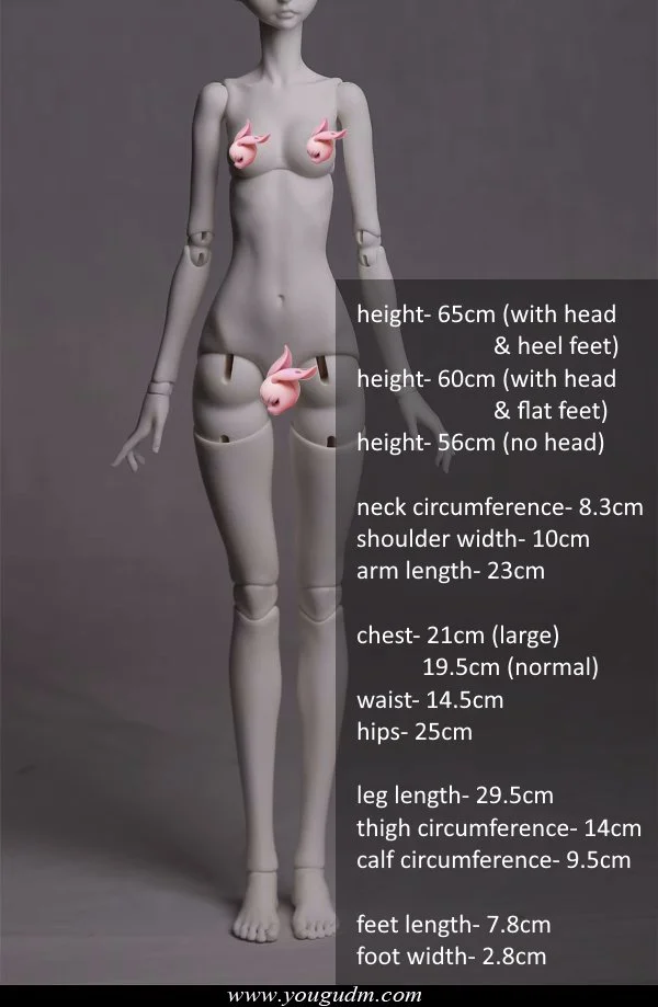 60cm girl body B56-01
 choose large or small chest
 $425 (£362) - white, normal, normal pink
 $495 (£422) - gray
 $535 (£456) - light tan