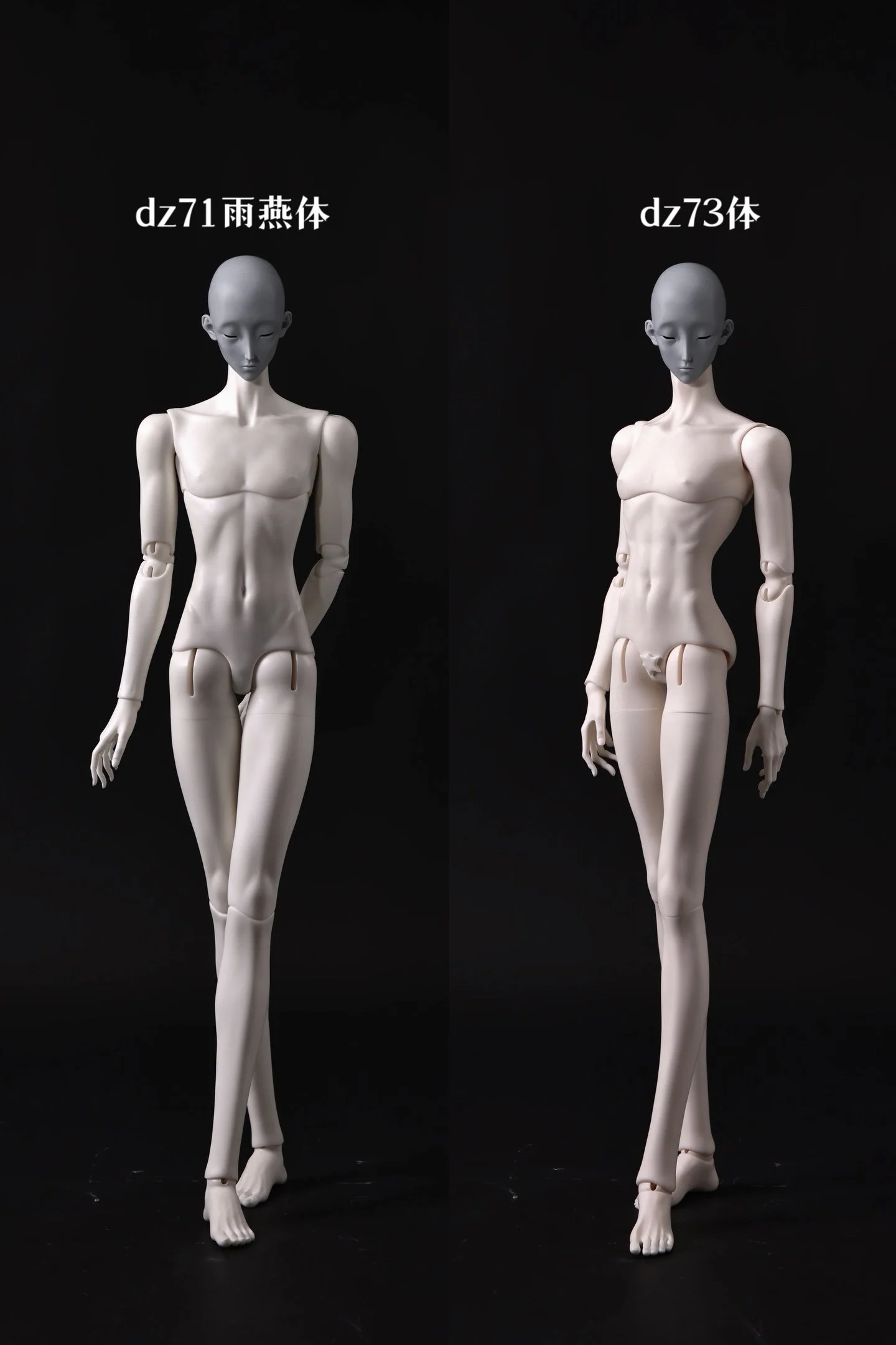 birdcube body rec.jpg