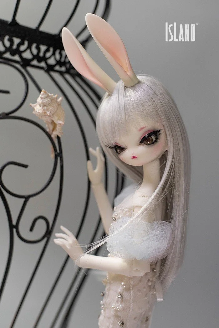 island_buny_17.jpg