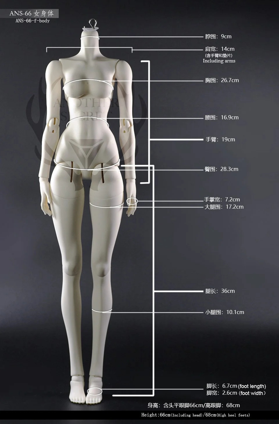 66cm female body