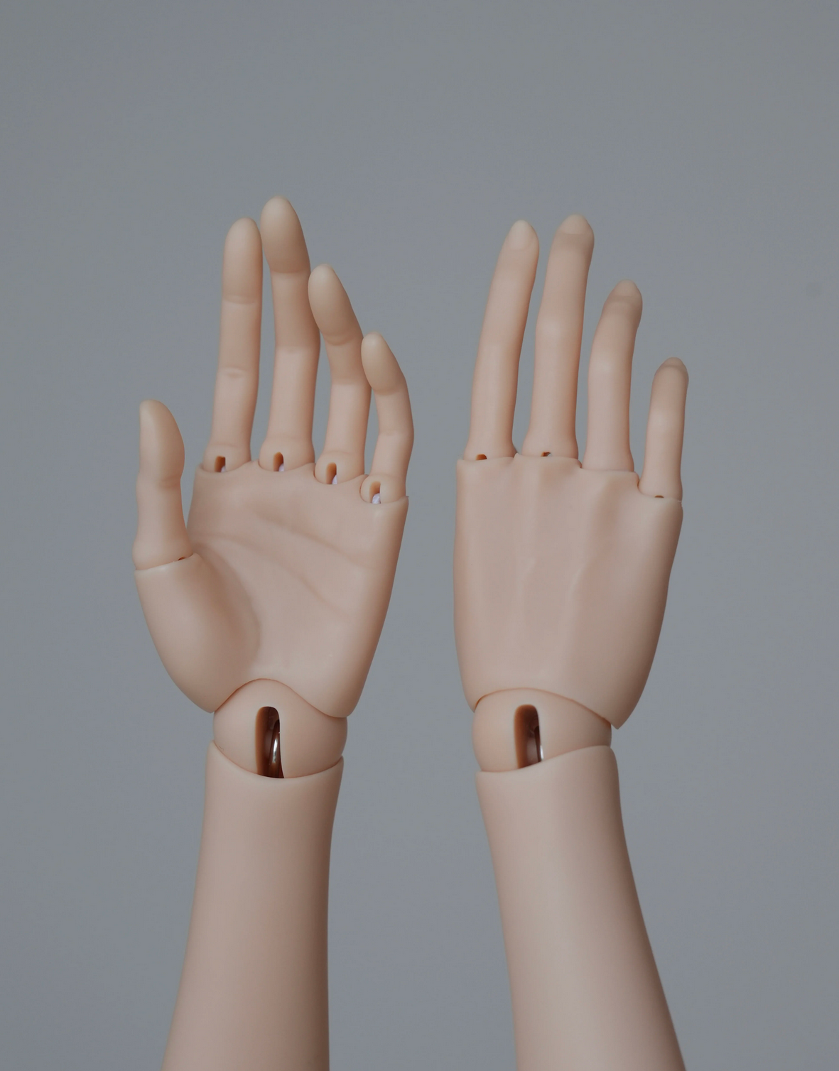Jointed Hands