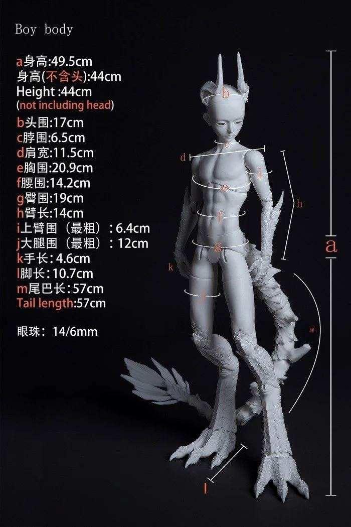 B4-31 lizard body
 50cm boy body