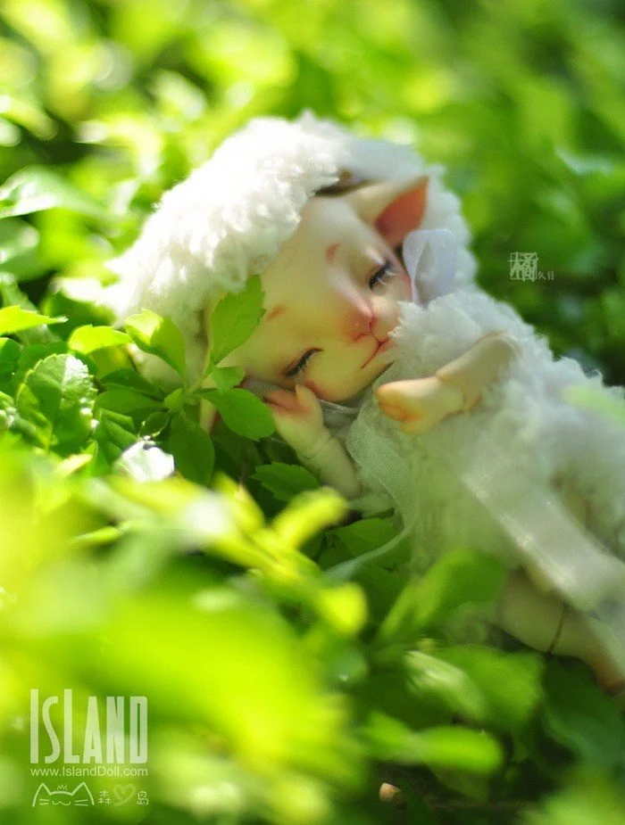 island_mianmian_02.jpg