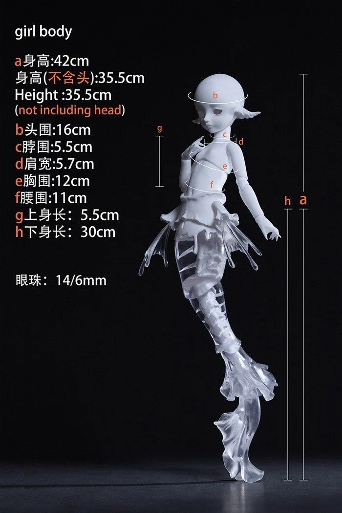 42CM body
 B6-21