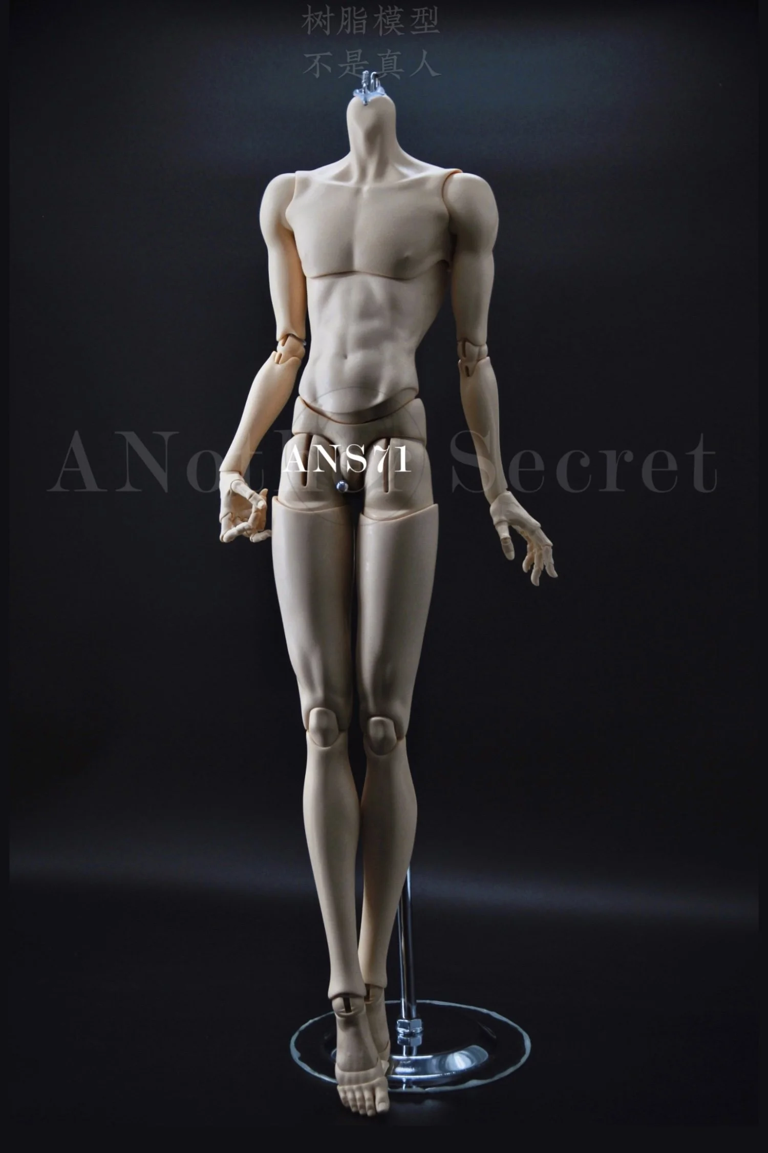 71cm male body