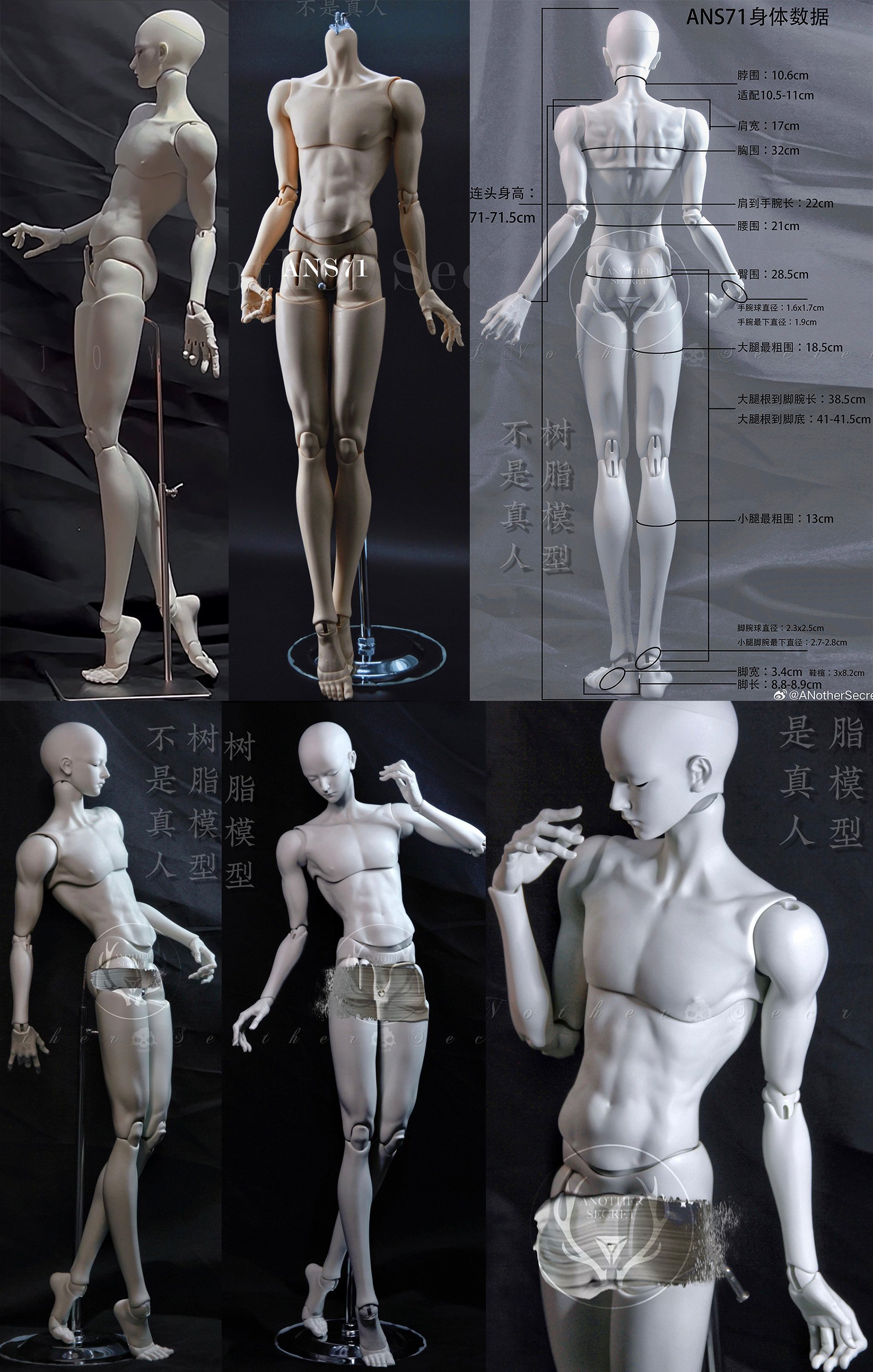 71cm male body