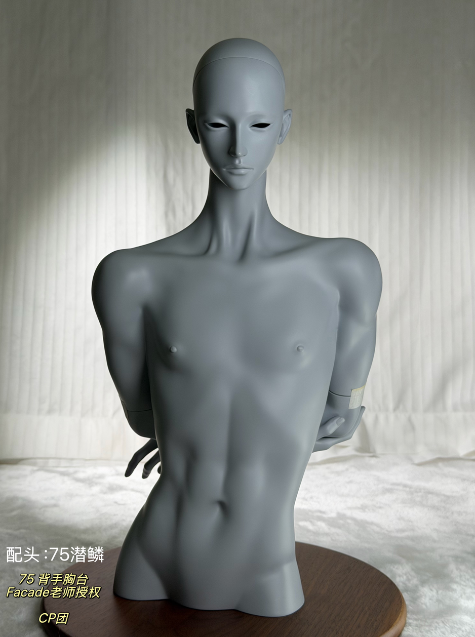 facade 75cm bust (7).png