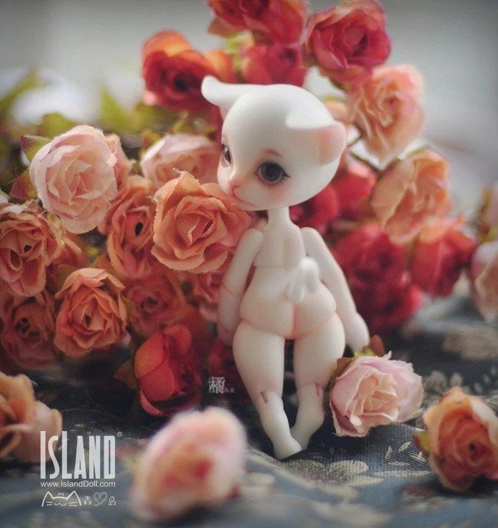 island_anan_02.jpg
