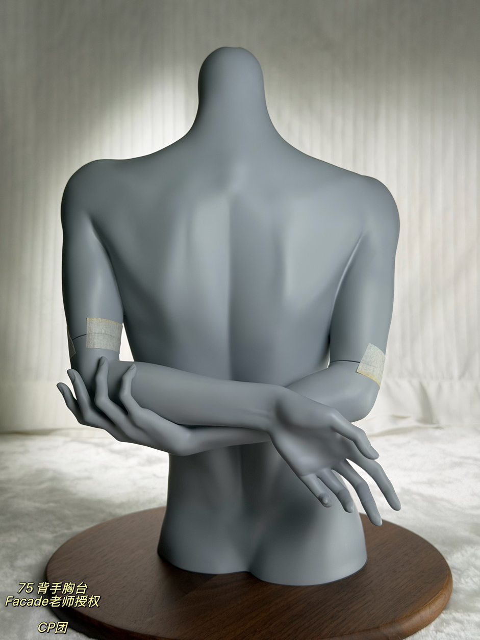 facade 75cm bust (5).png