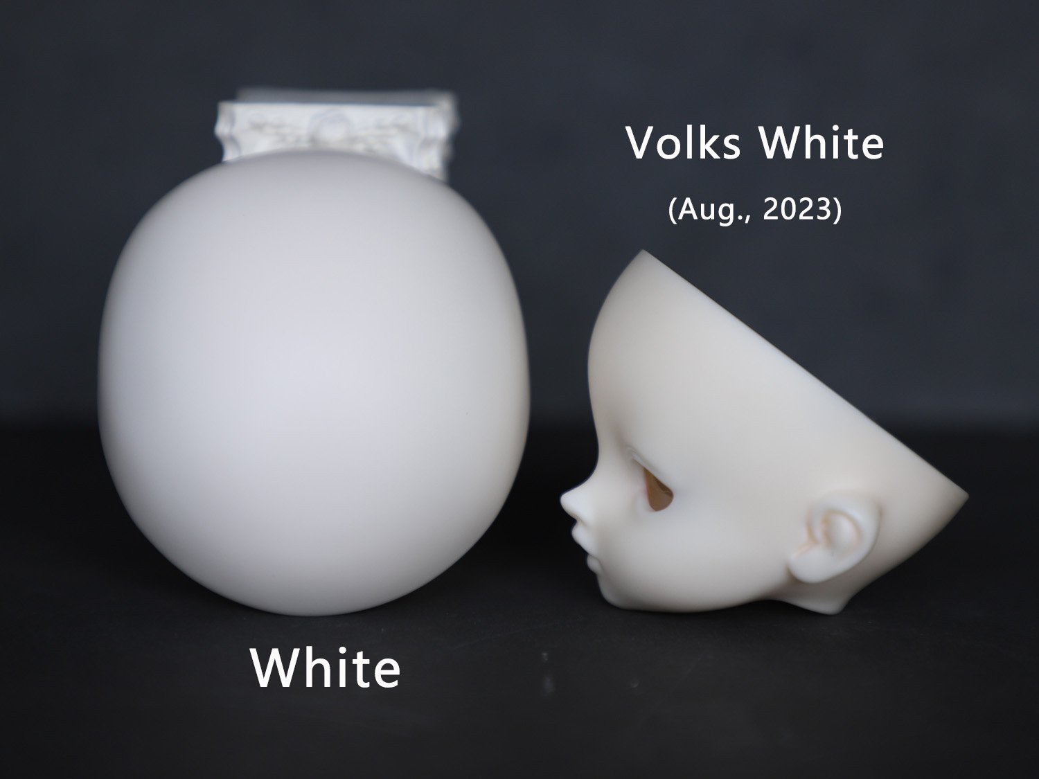 Skin-white.jpg