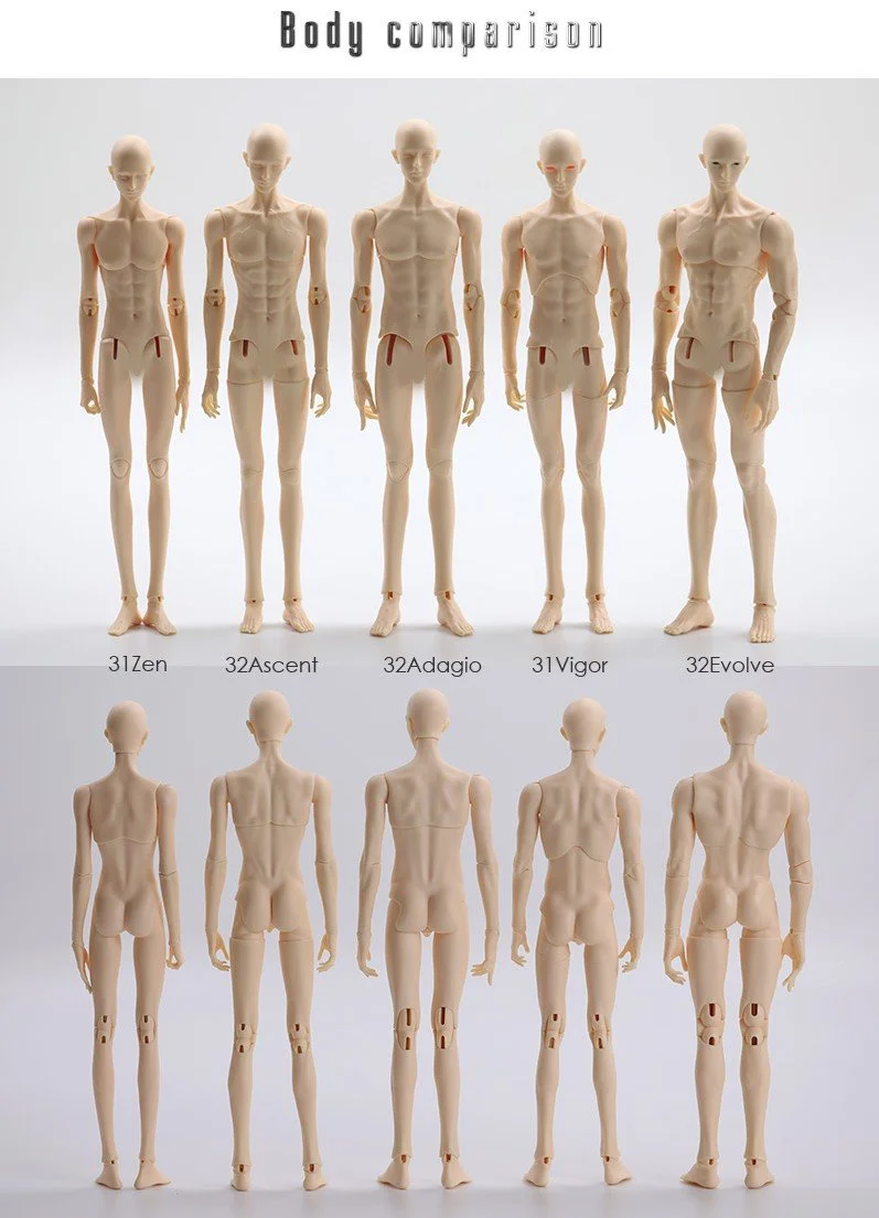 bodycomparision.jpg