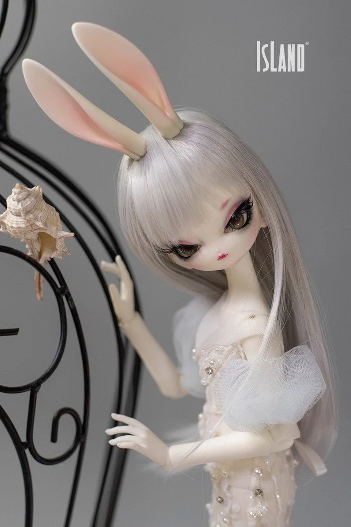 island_buny_16.jpg