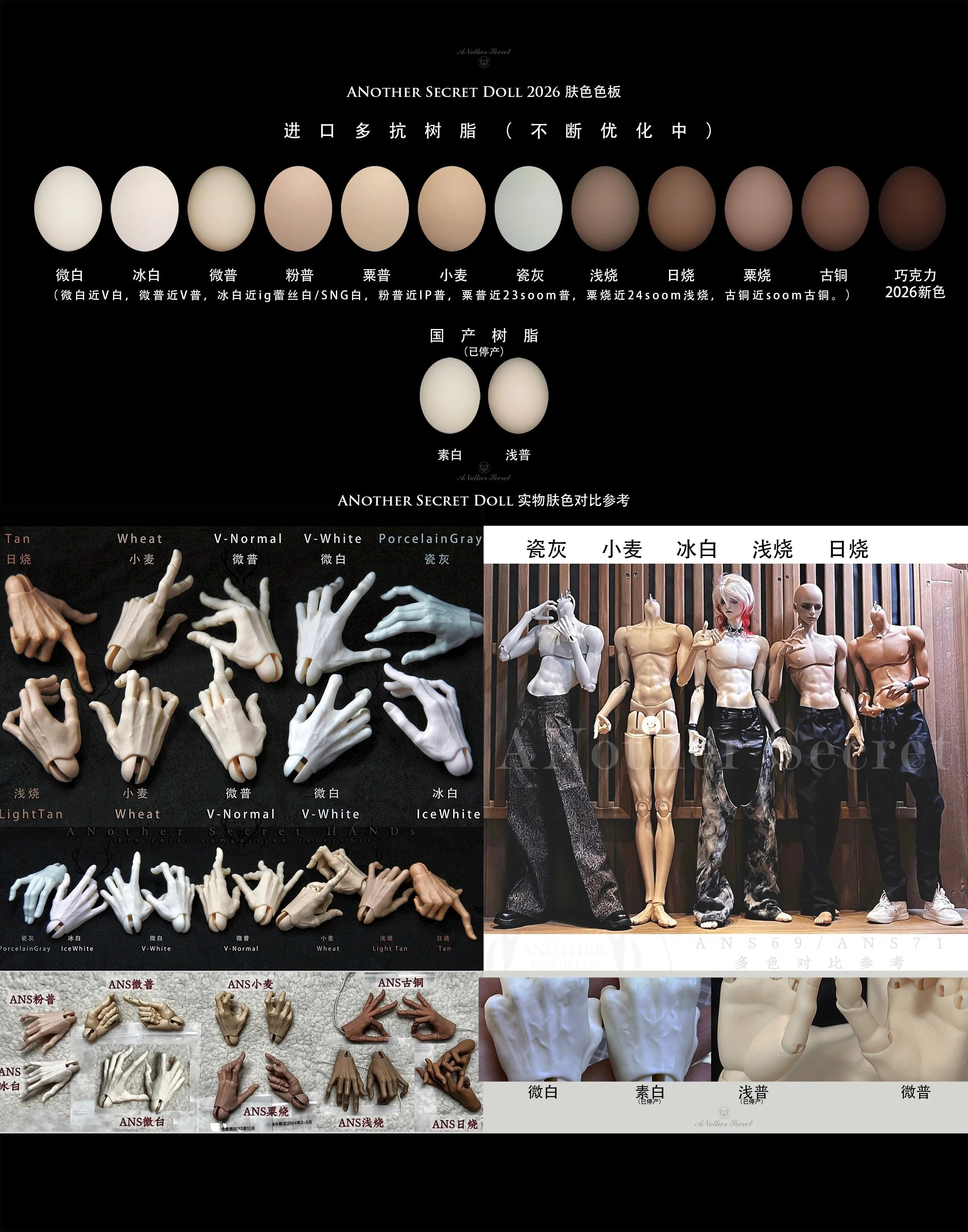 ANS skin color2026.jpg