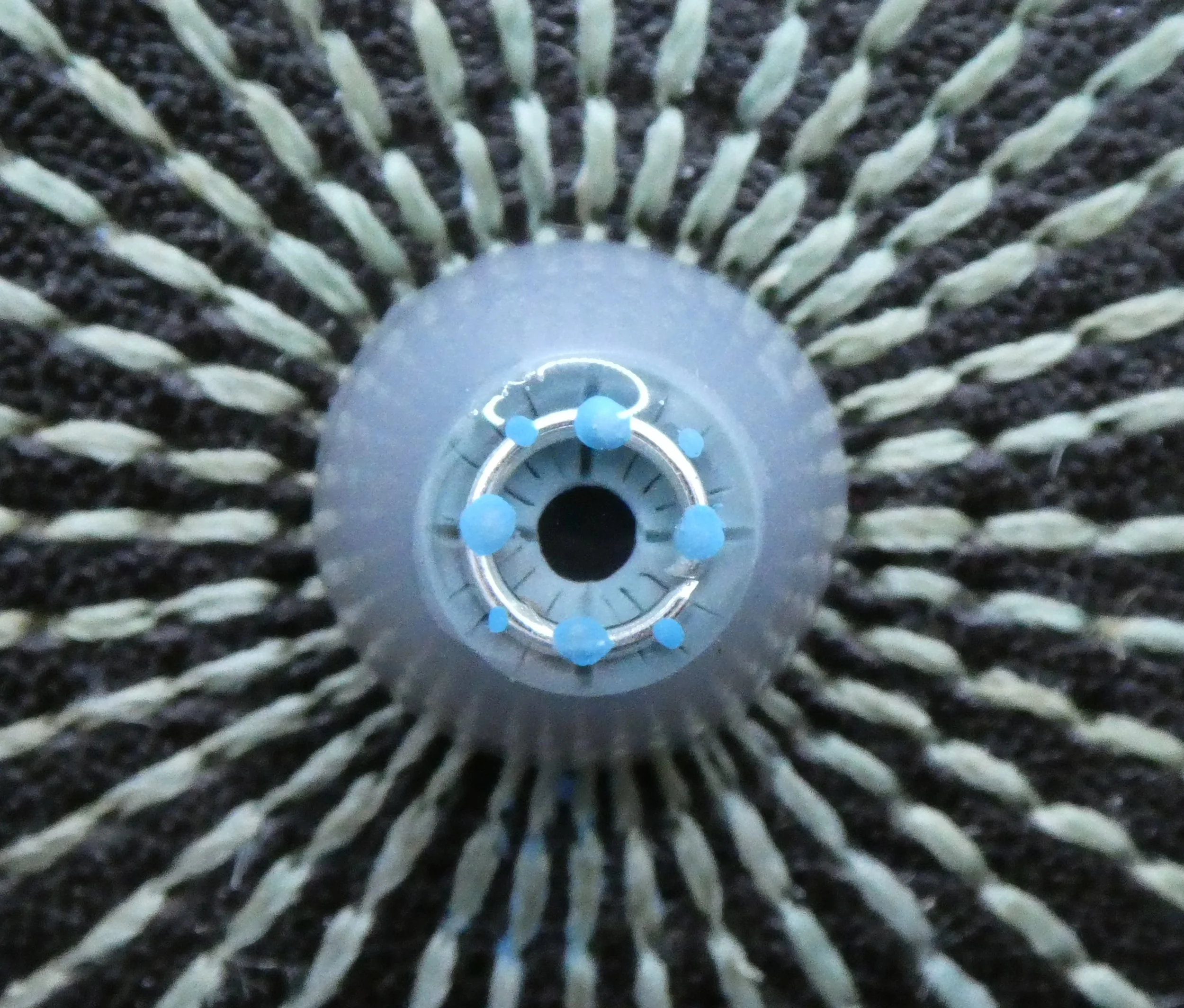 Cyberpunk
 
With glow-in-the-dark features