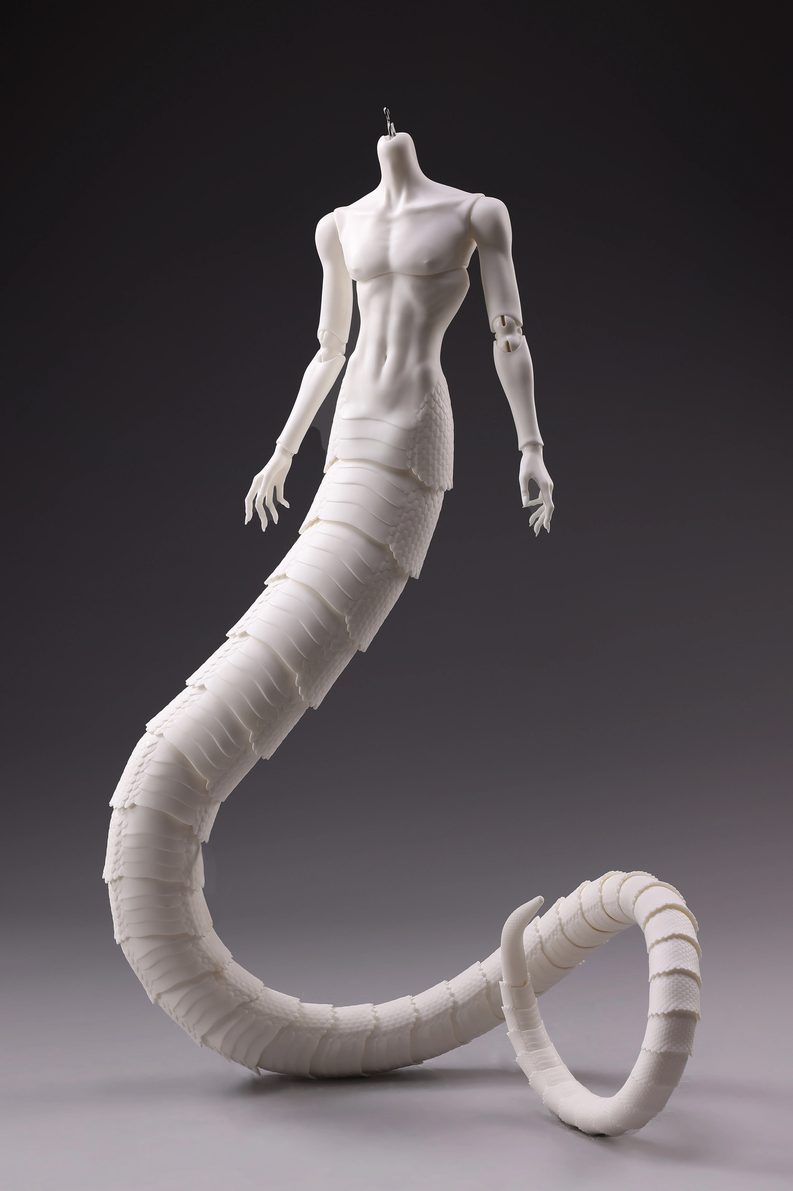 snake body (1).png