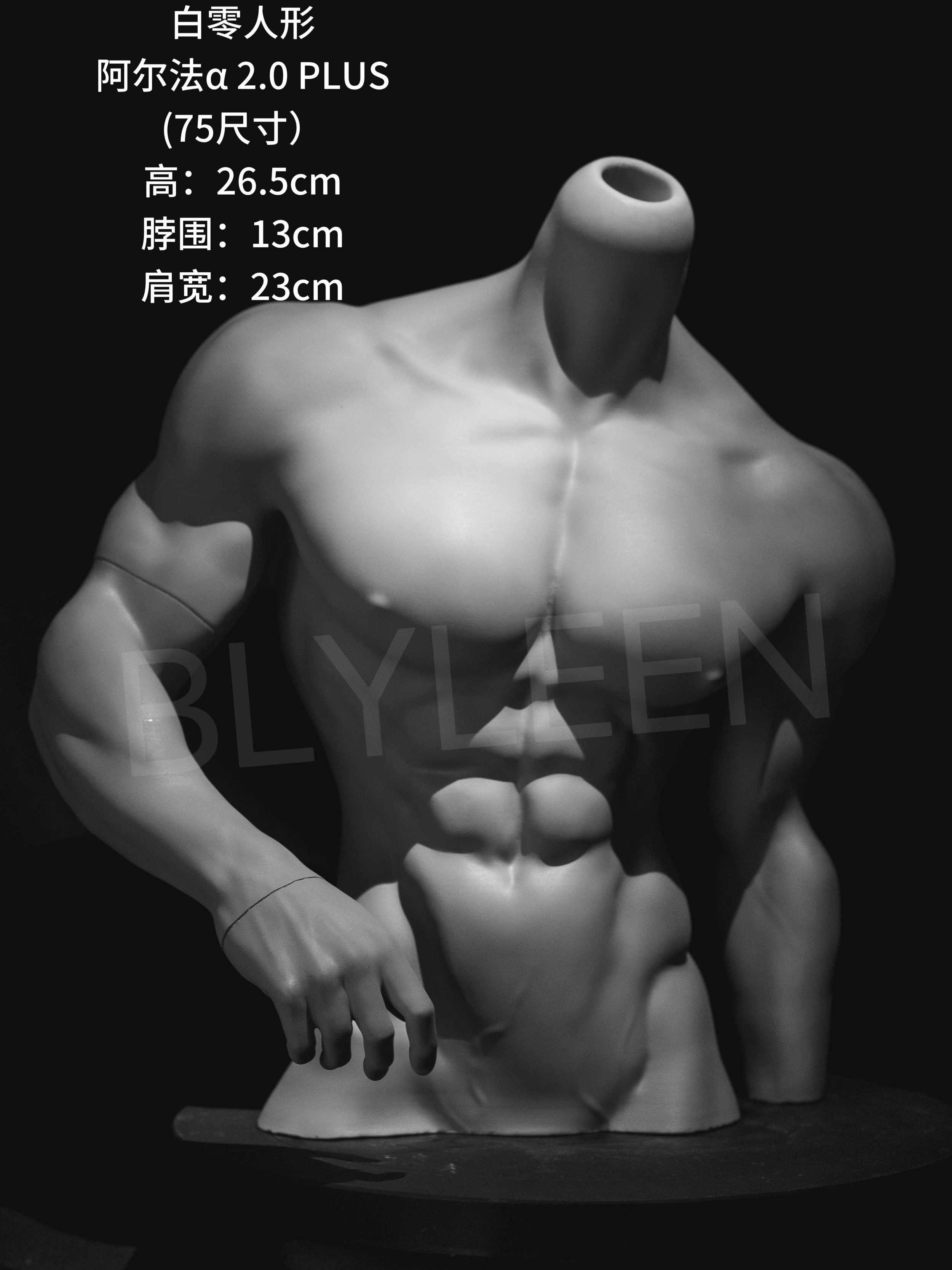 alpha 2.0 plus (1).jpg