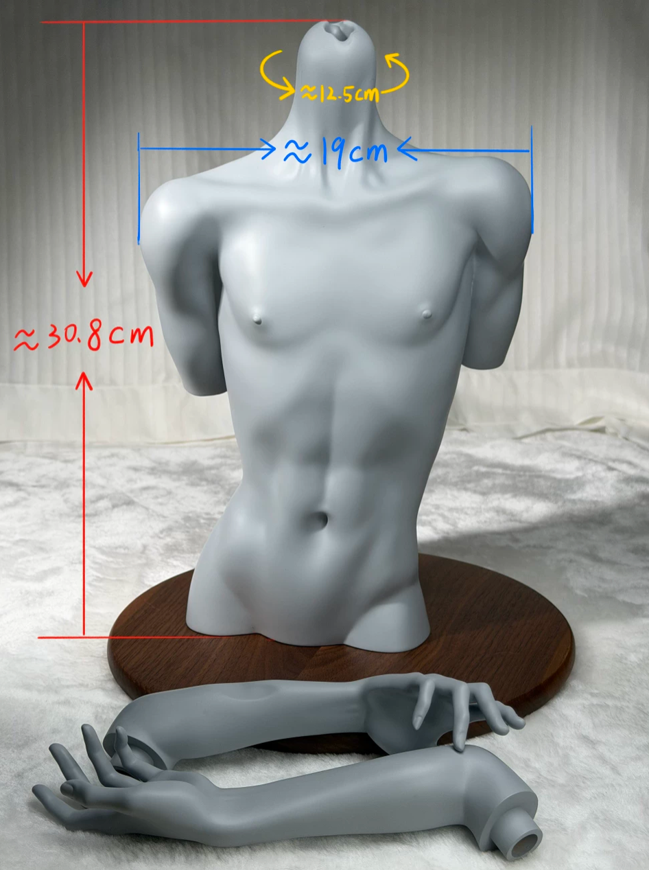 facade 75cm bust (1).png