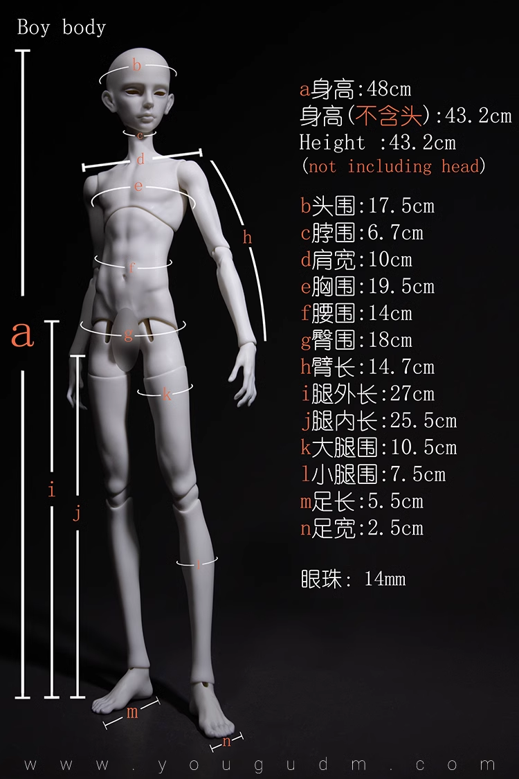 48cm boy body B4-17
 $239 (£204) - white, normal, normal pink
 $294 (£251) - gray
 $319 (£272) - light tan